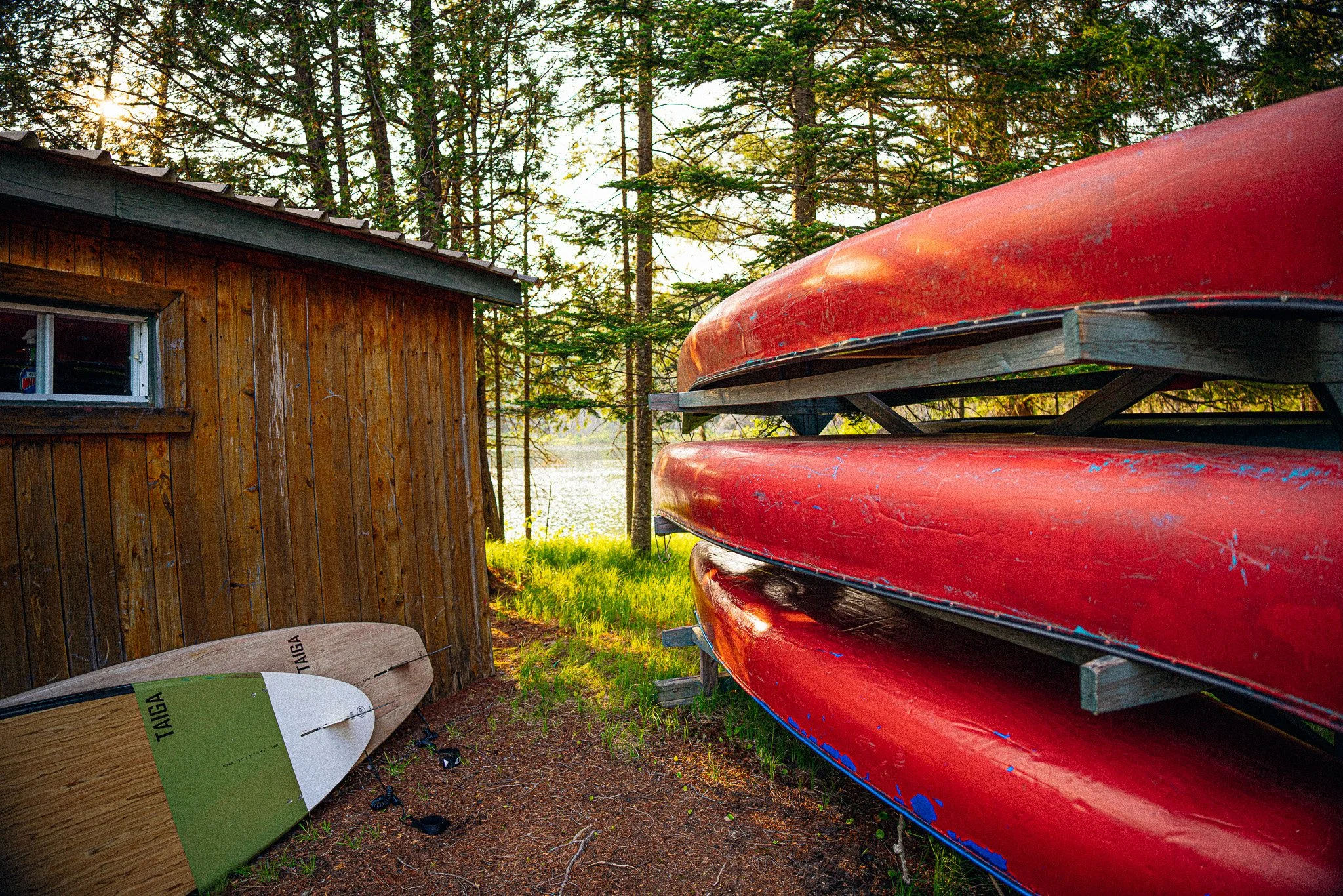 Three red canoes stacked on racks beside a wooden cabin in a forested area near a lake, with paddleboards leaning against the cabin wall.