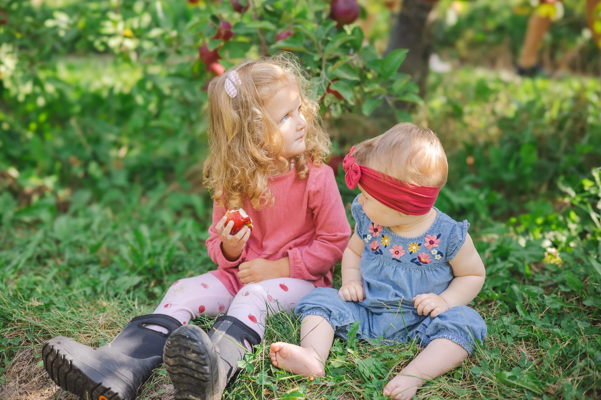 Two young girls sitting on the grass next to an apple orchard, one with curly red hair and wearing pink, the other with a headband and wearing blue, with the older girl holding an apple and looking away, and the younger girl looking up at her.