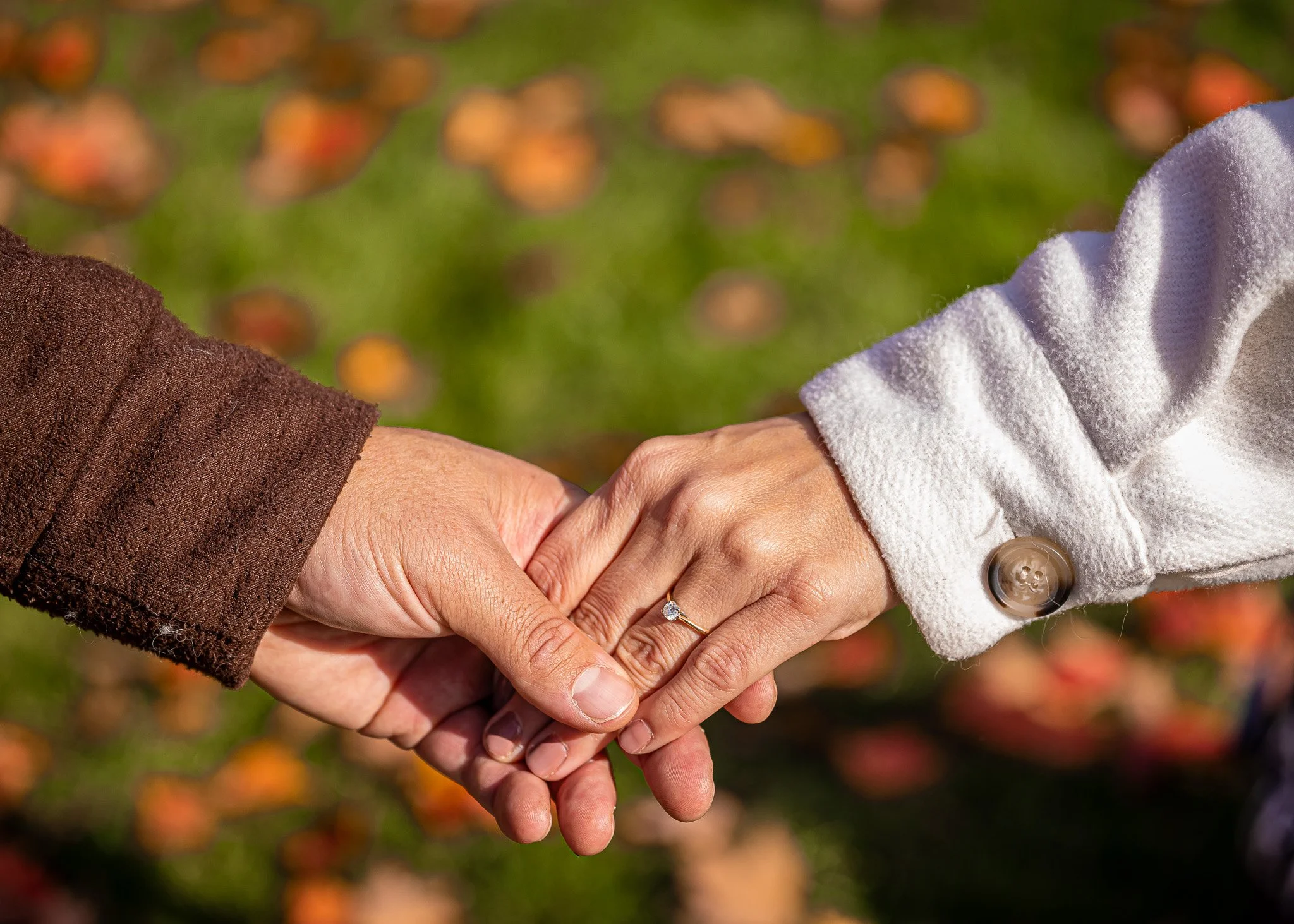 Two people holding hands outdoors, one with a ring on the ring finger, with blurred autumn leaves in the background.