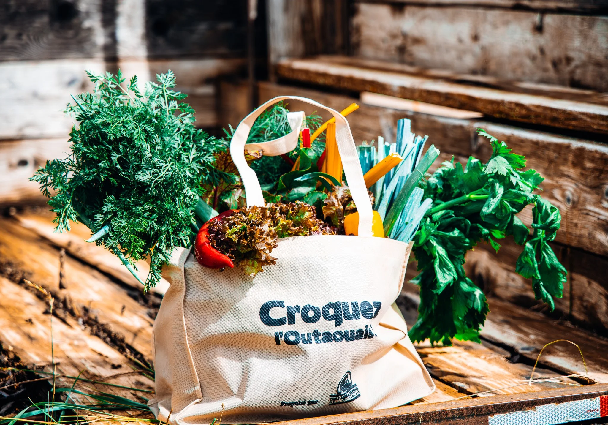 A tote bag filled with fresh vegetables and herbs, set on a wooden surface against a wooden wall background.