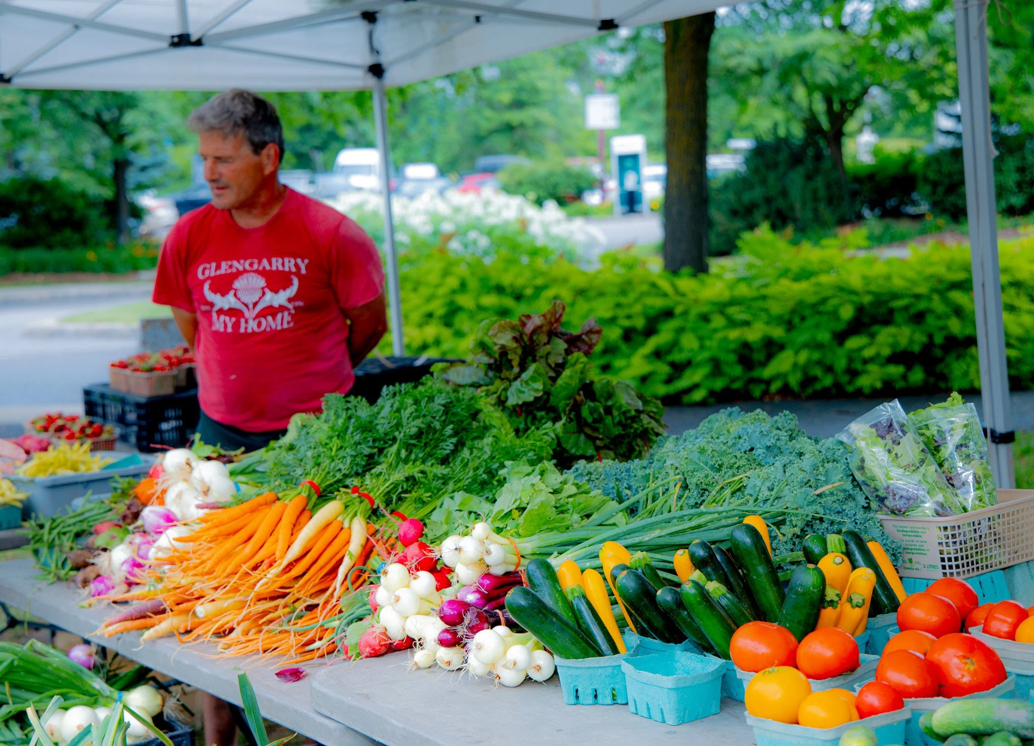 Man at an outdoor farmer's market stall with fresh vegetables including carrots, radishes, zucchini, tomatoes, and leafy greens, under a white canopy.