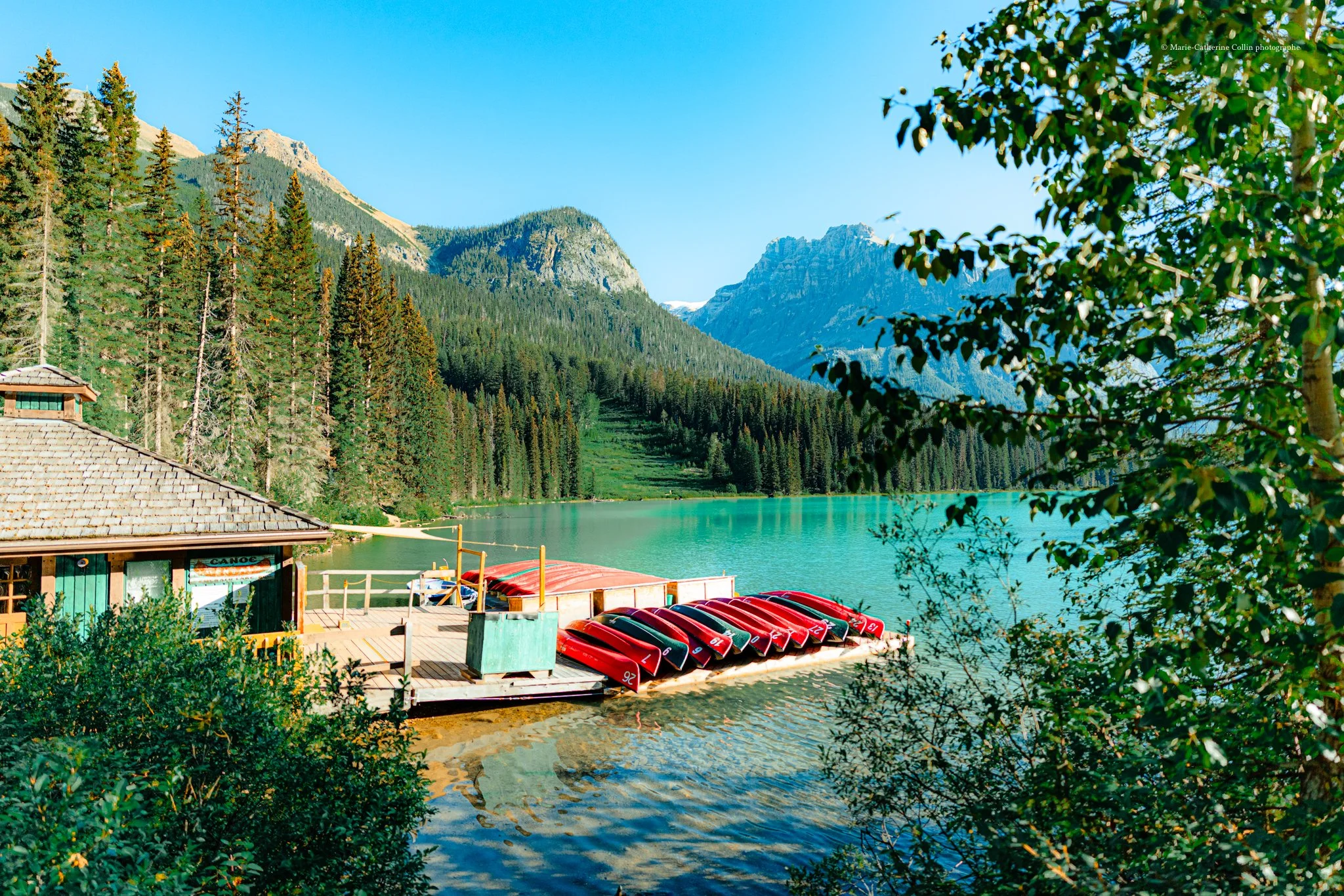A serene mountain lake with a dock featuring several red and black canoes, surrounded by lush green trees, tall mountains, and a clear blue sky.