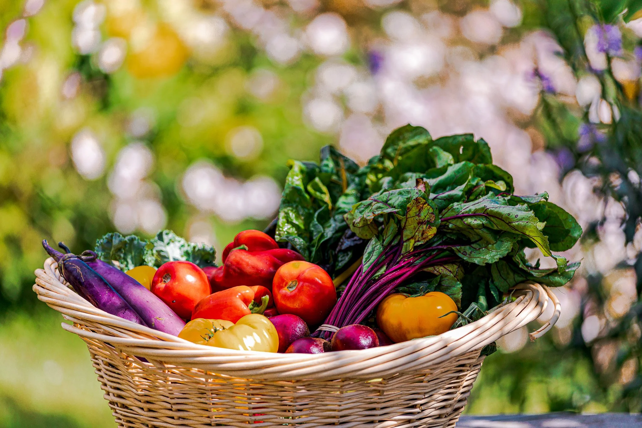 A wicker basket filled with fresh vegetables including purple eggplants, red and yellow tomatoes, red radishes, and leafy greens with purple veins, set outdoors with a blurred green background.