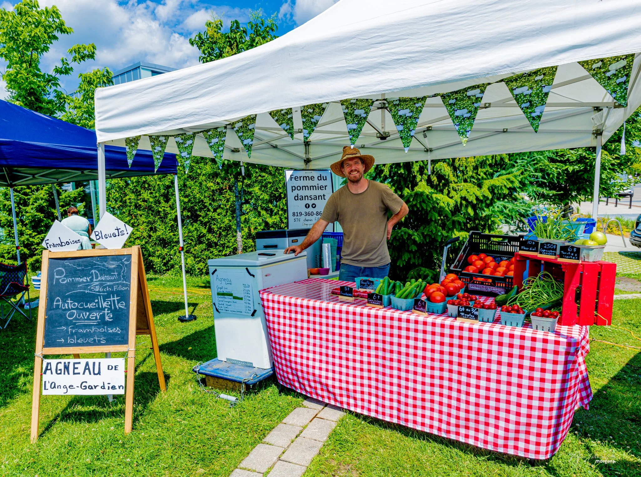 Man standing behind a table with fresh tomatoes and cucumbers at an outdoor market stall under a white canopy, surrounded by greenery and a blue sky.
