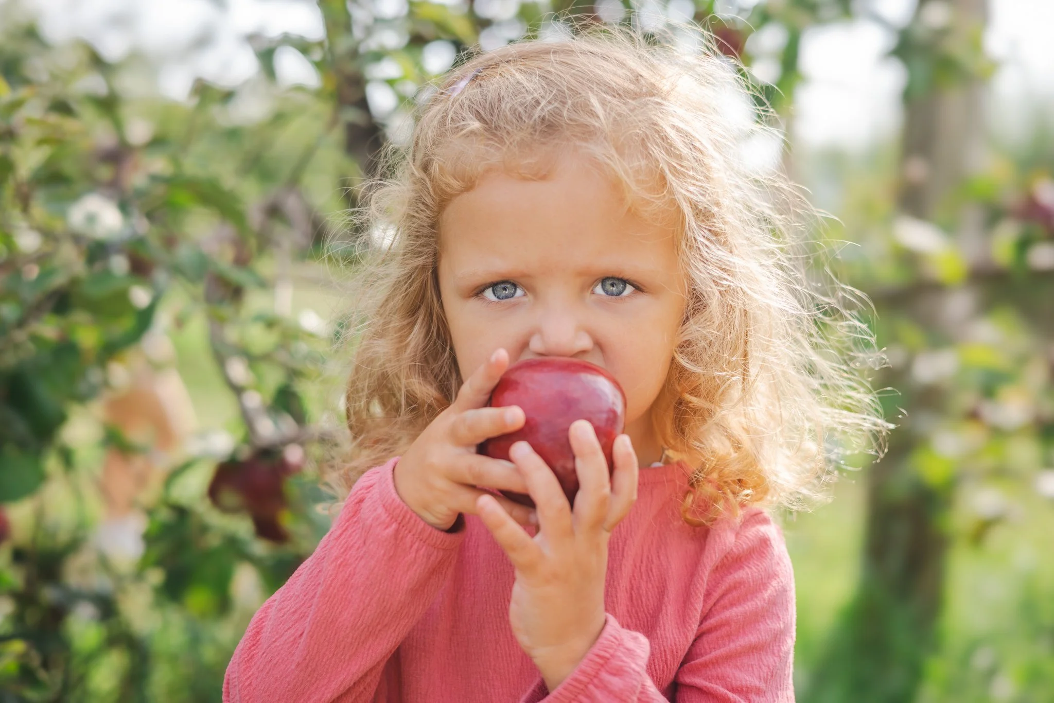 A young girl with curly blonde hair and blue eyes eating a red apple outdoors amid green trees.