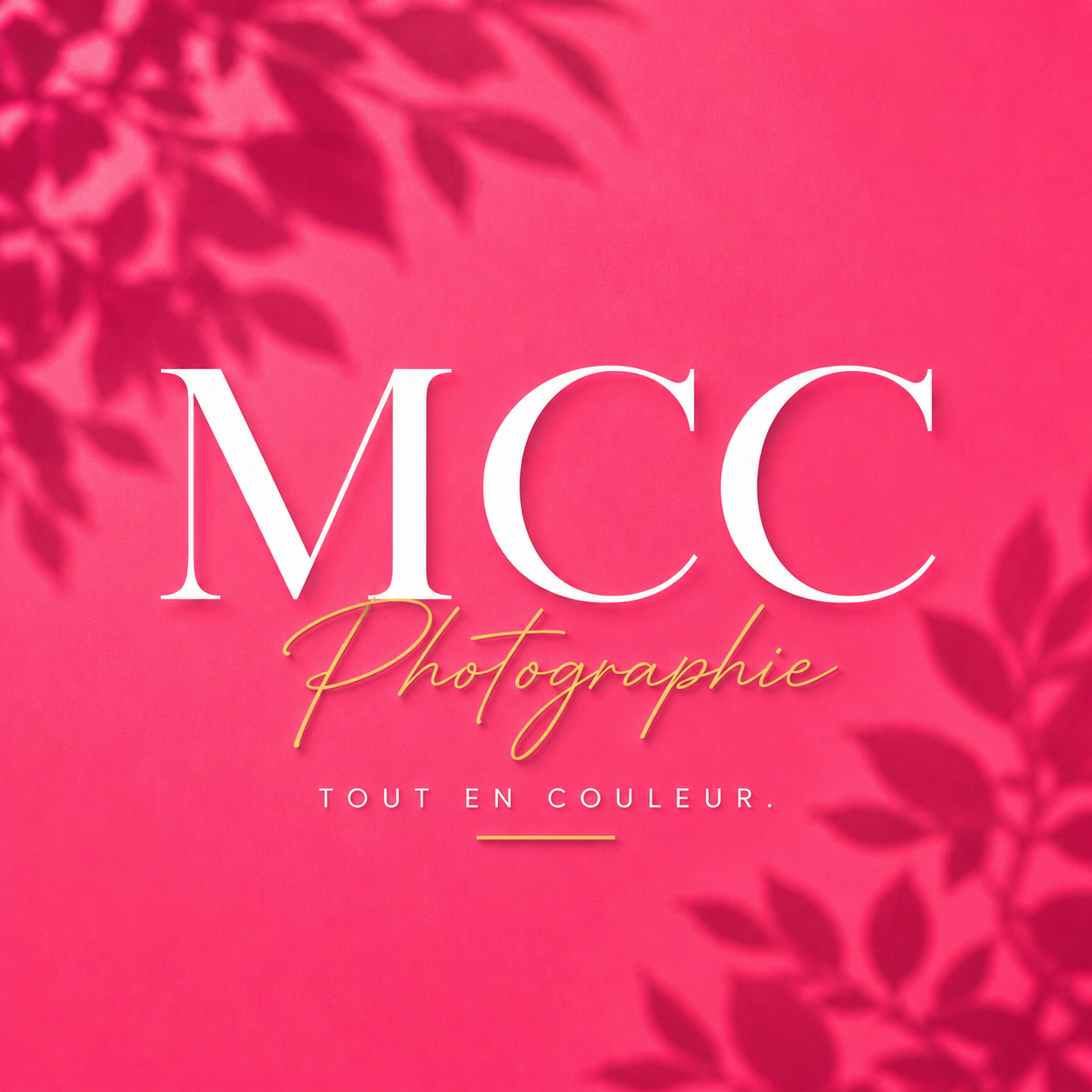 MCC Photographie - Couleur &amp; Lumière 