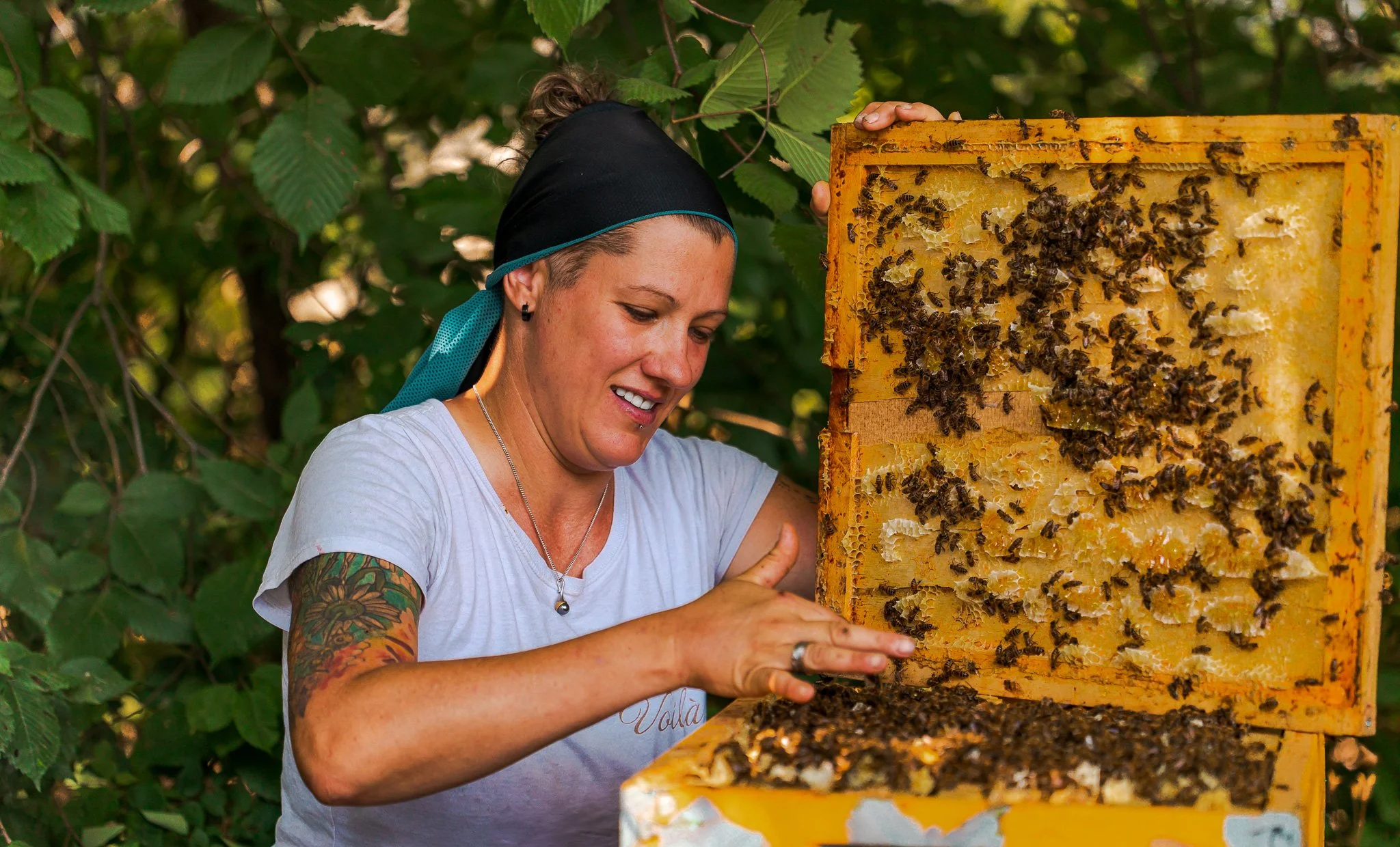 A woman with tattoos on her arm inspecting a beekeeping hive with bees on the frame outdoors.