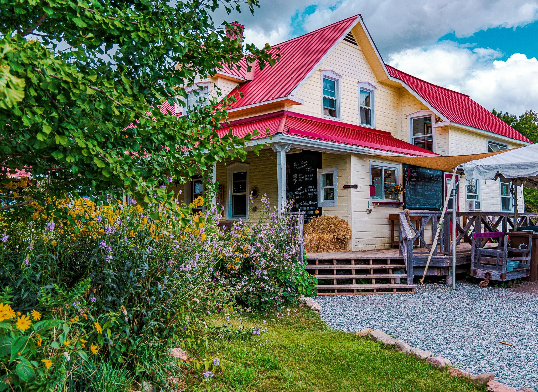 A two-story house with yellow siding and a red metal roof, surrounded by lush greenery and colorful flowers, with a gravel pathway and a small porch.