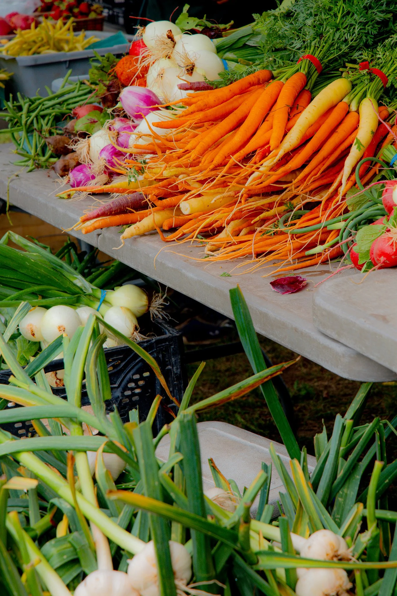 Fresh carrots, onions, and radishes displayed at a market stall.