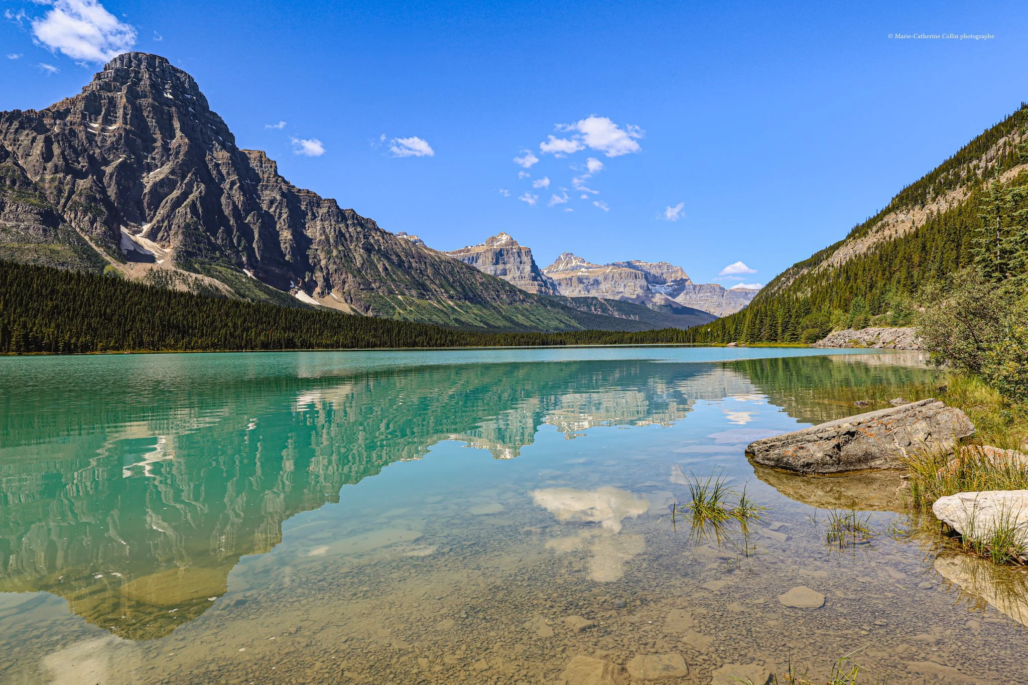 A mountain lake with clear, turquoise water reflecting the surrounding pine forest and rugged mountains under a bright blue sky with a few white clouds.