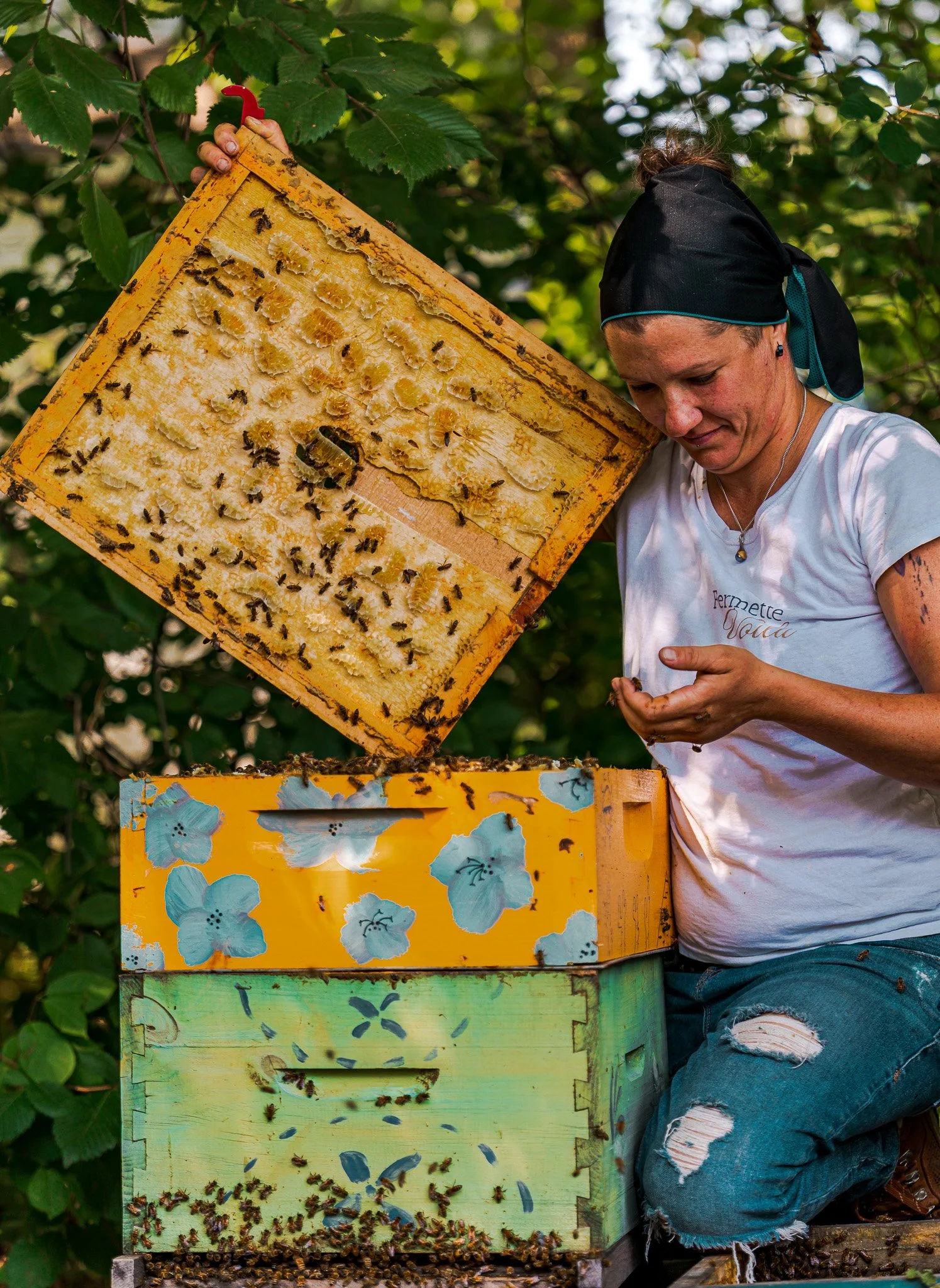 A woman in a black headscarf and white t-shirt inspecting a beehive frame with bees, next to decorated beehives, in a green leafy outdoor setting.