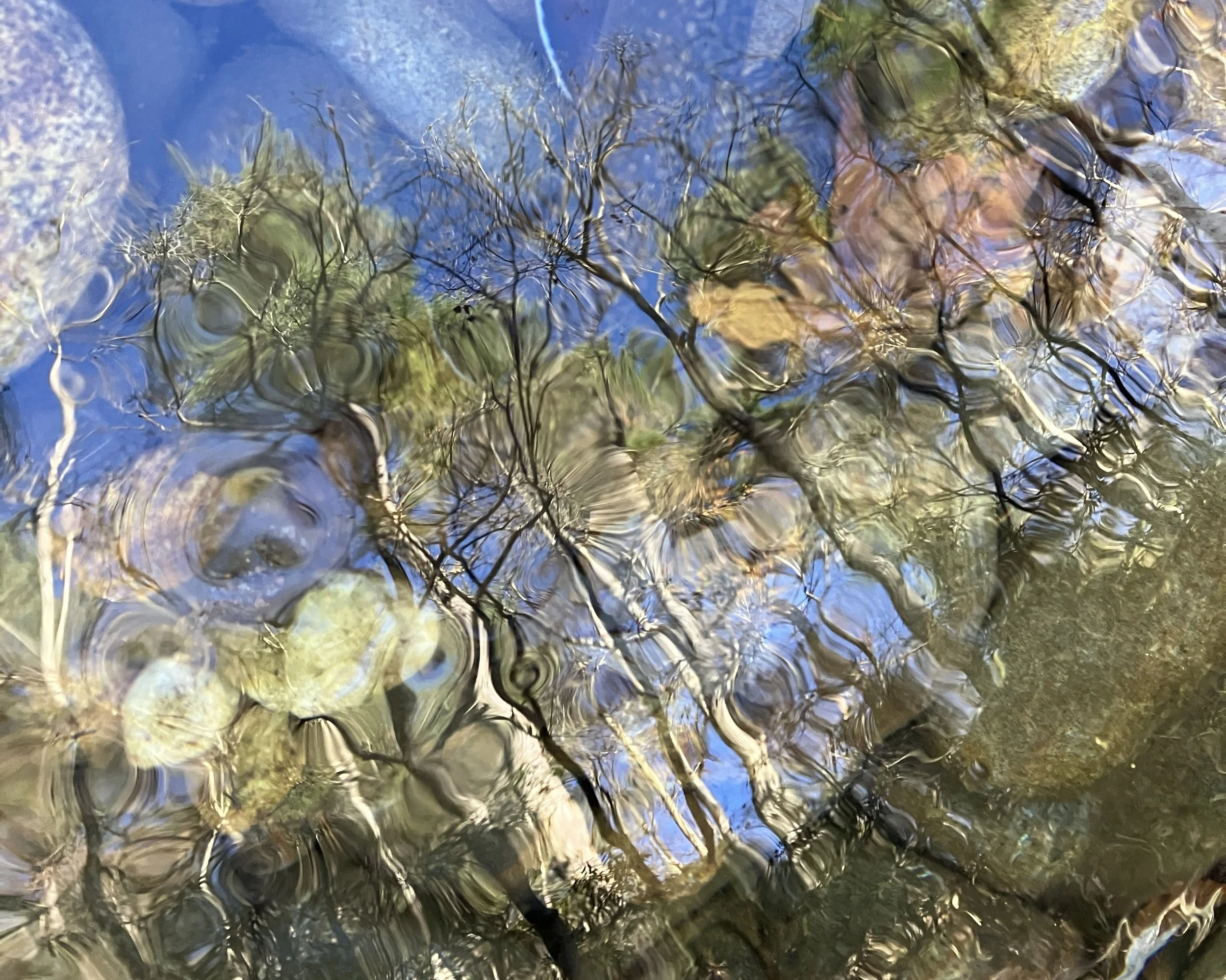 Reflections of trees on the surface of a stream