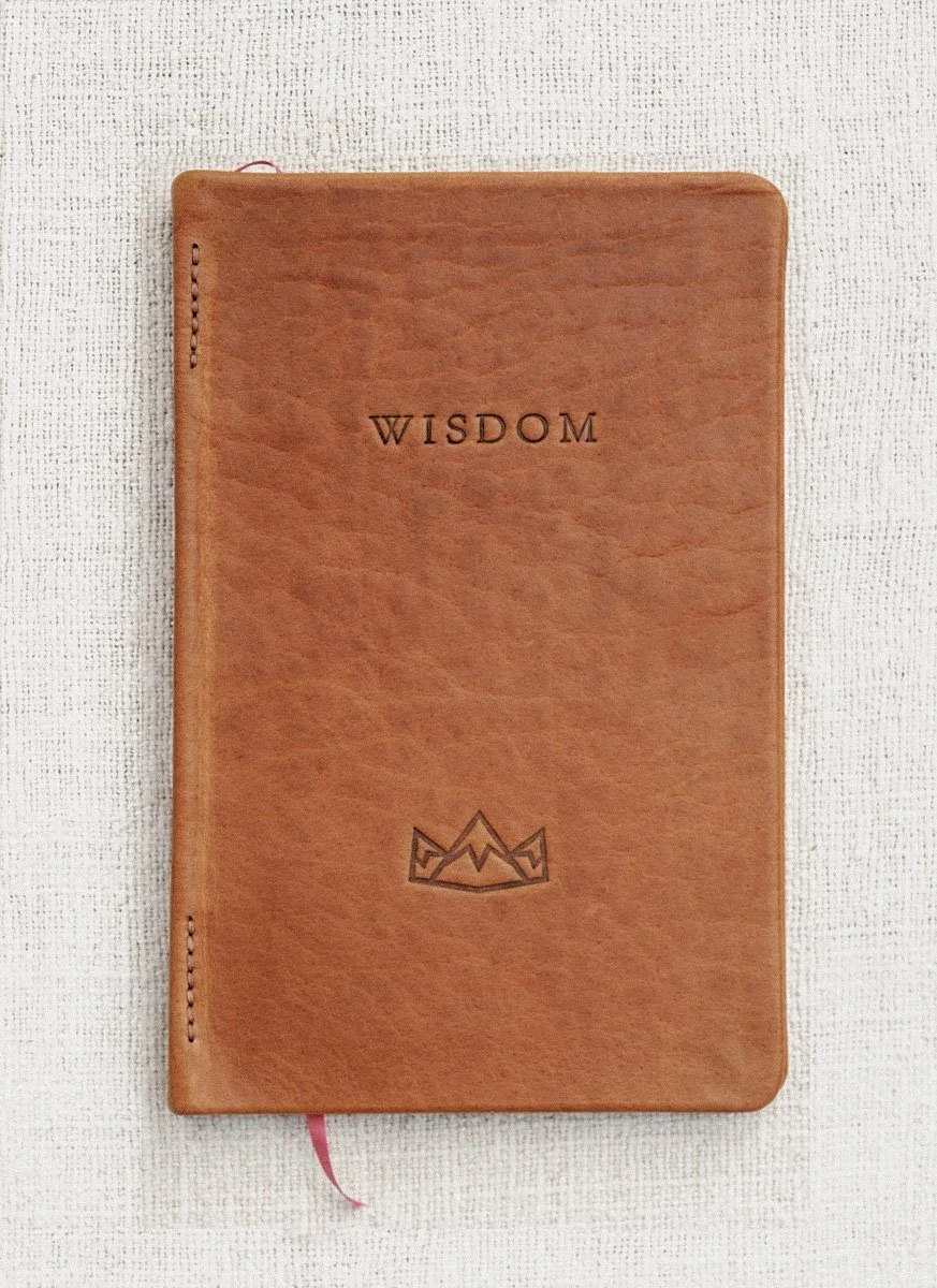 Cloud Camp Wisdom bison covers-01.jpg