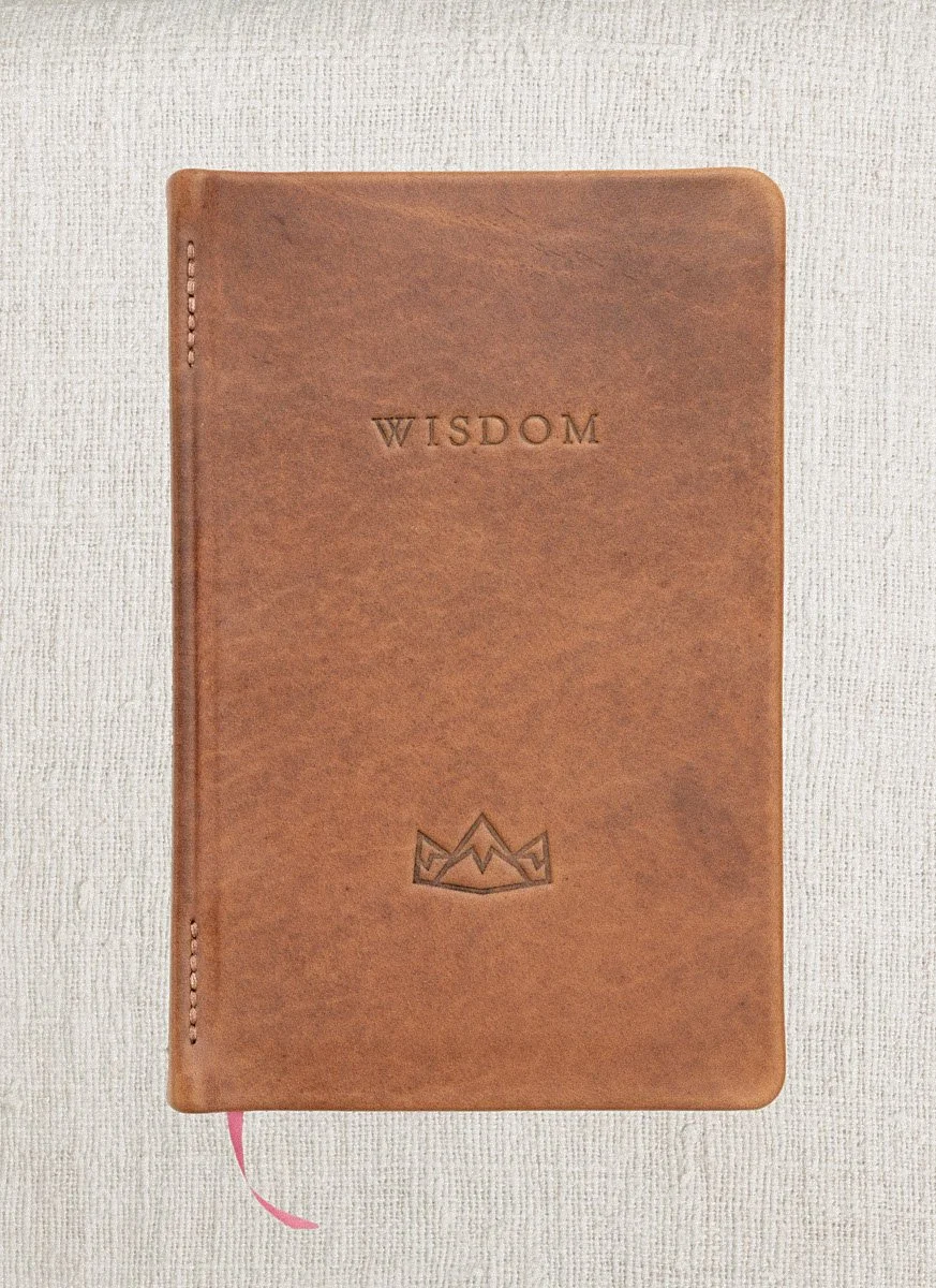 Cloud Camp Wisdom bison covers-14.jpg