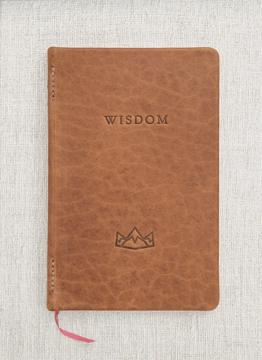 Cloud Camp Wisdom bison covers-15.jpg