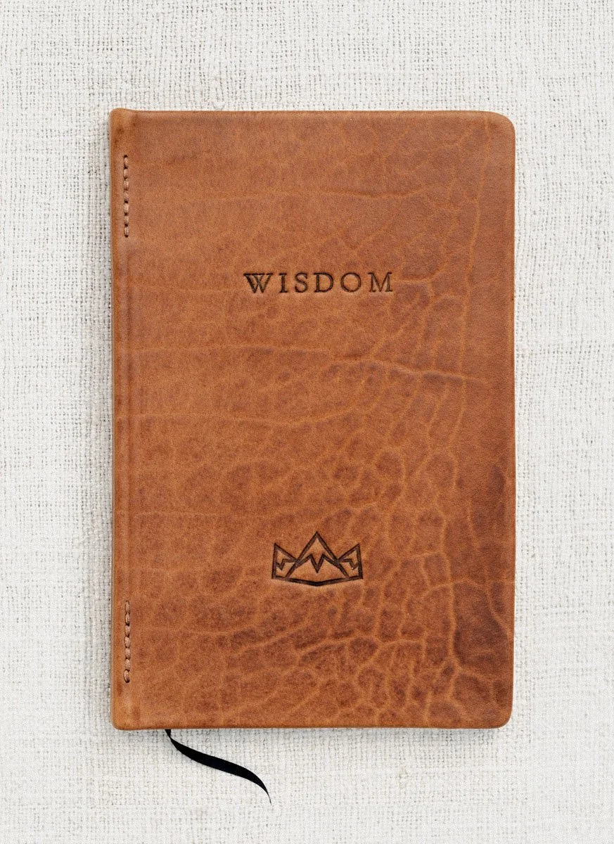 Cloud Camp Wisdom bison covers-05.jpg