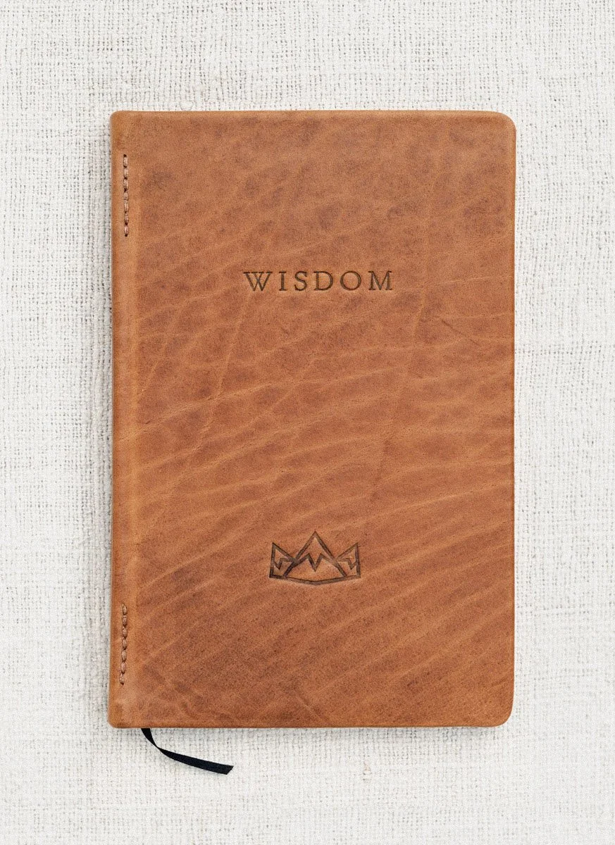 Cloud Camp Wisdom bison covers-07.jpg
