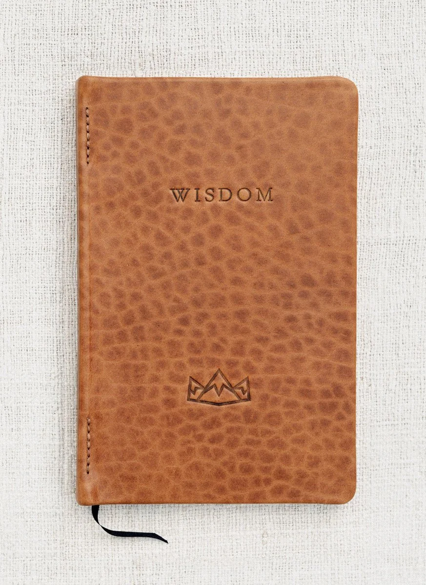 Cloud Camp Wisdom bison covers-04.jpg