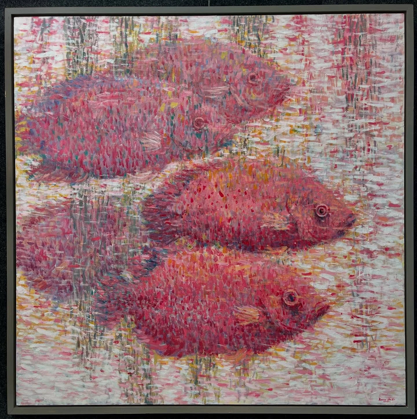 48x48 inch , sheep head fish