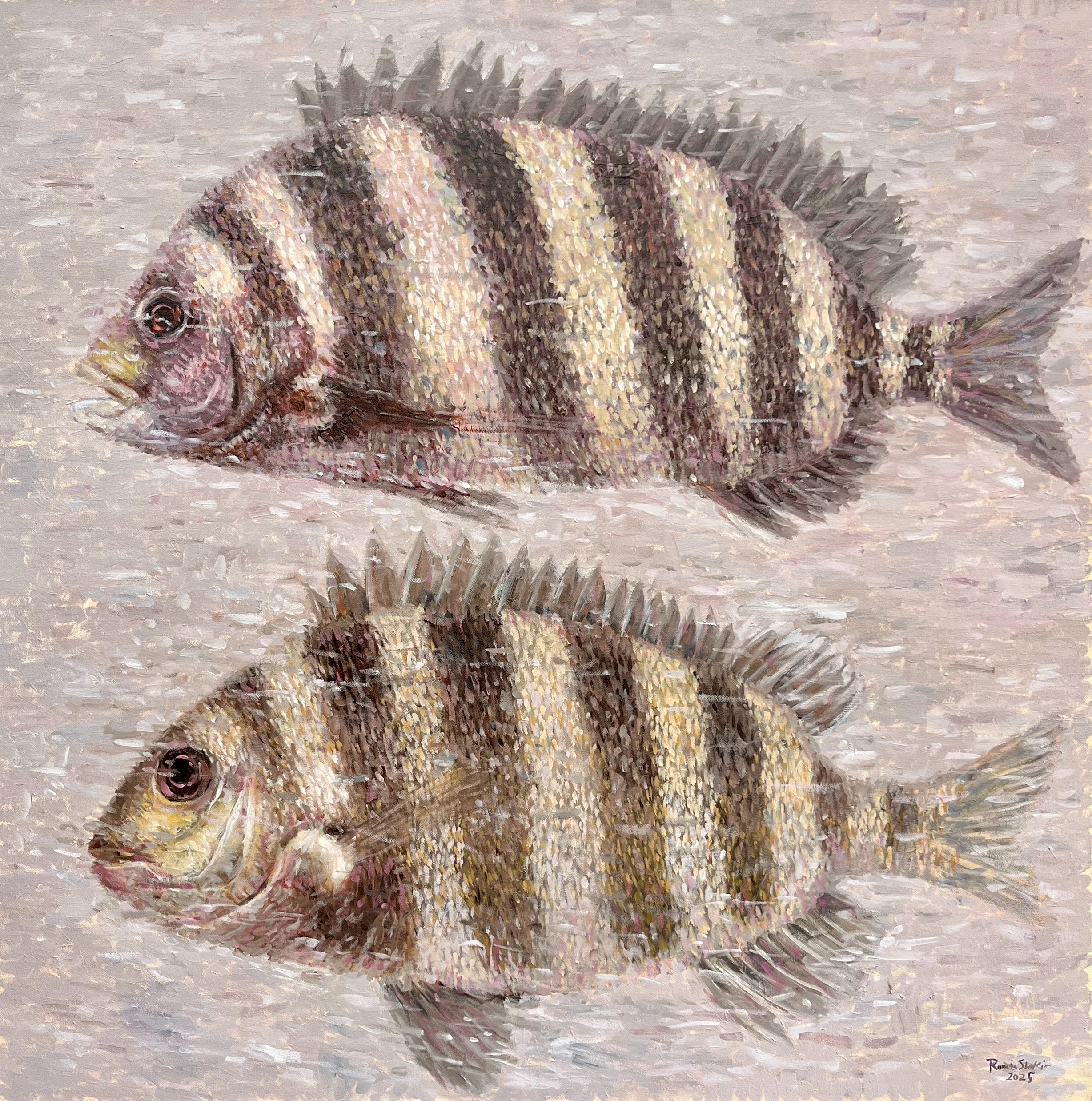 ( SOLD ) 36X36 in, oil on canvas