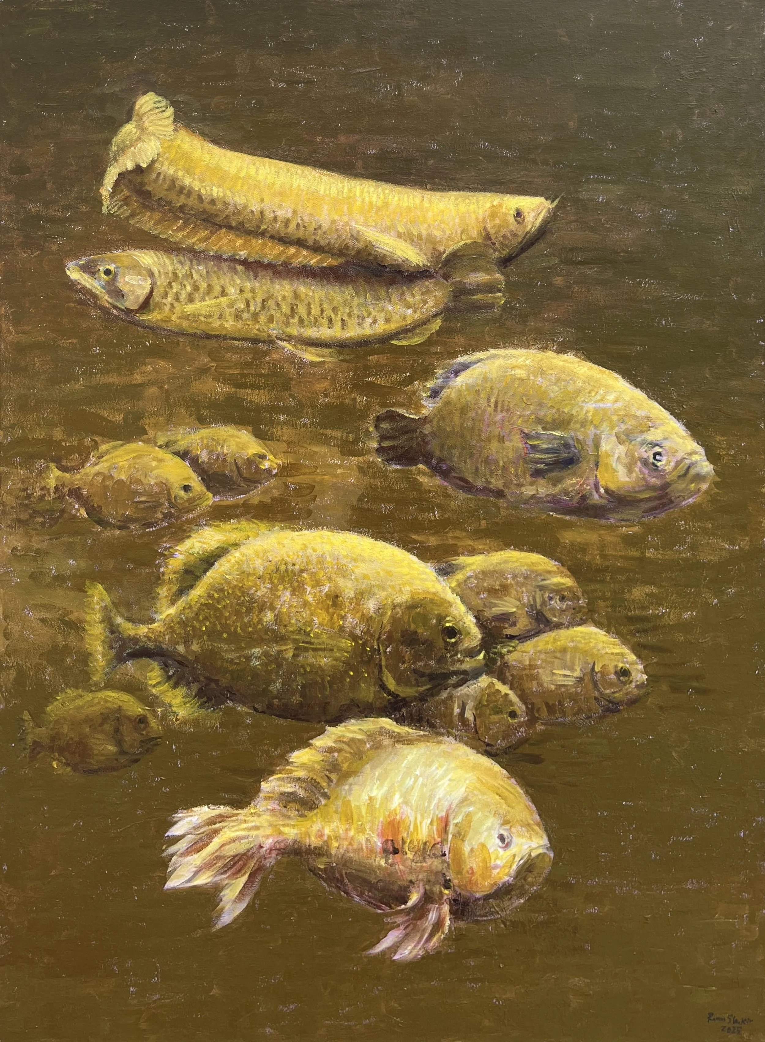 goldfish 30x40in oil on canvas