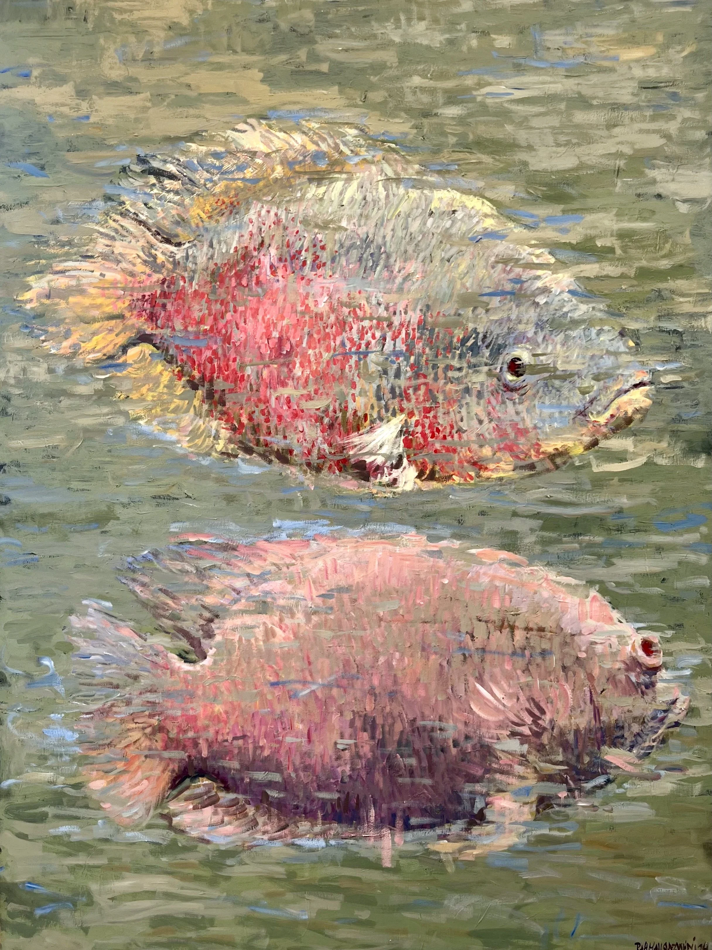 ( SOLD ) pink and grey fish 36x36in oil on canvas