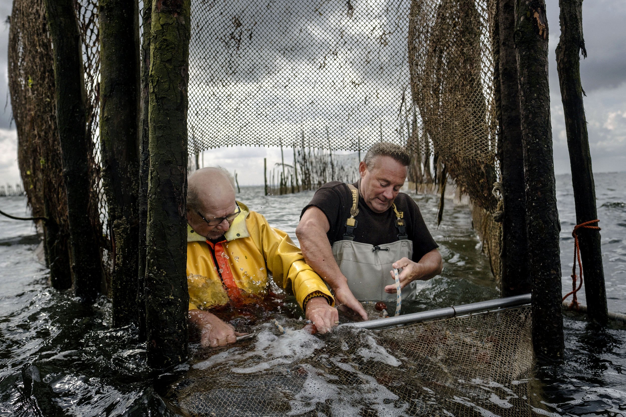 Drift fishermen have not caught anchovies in the Oosterschelde for a long time, the Netherlands.