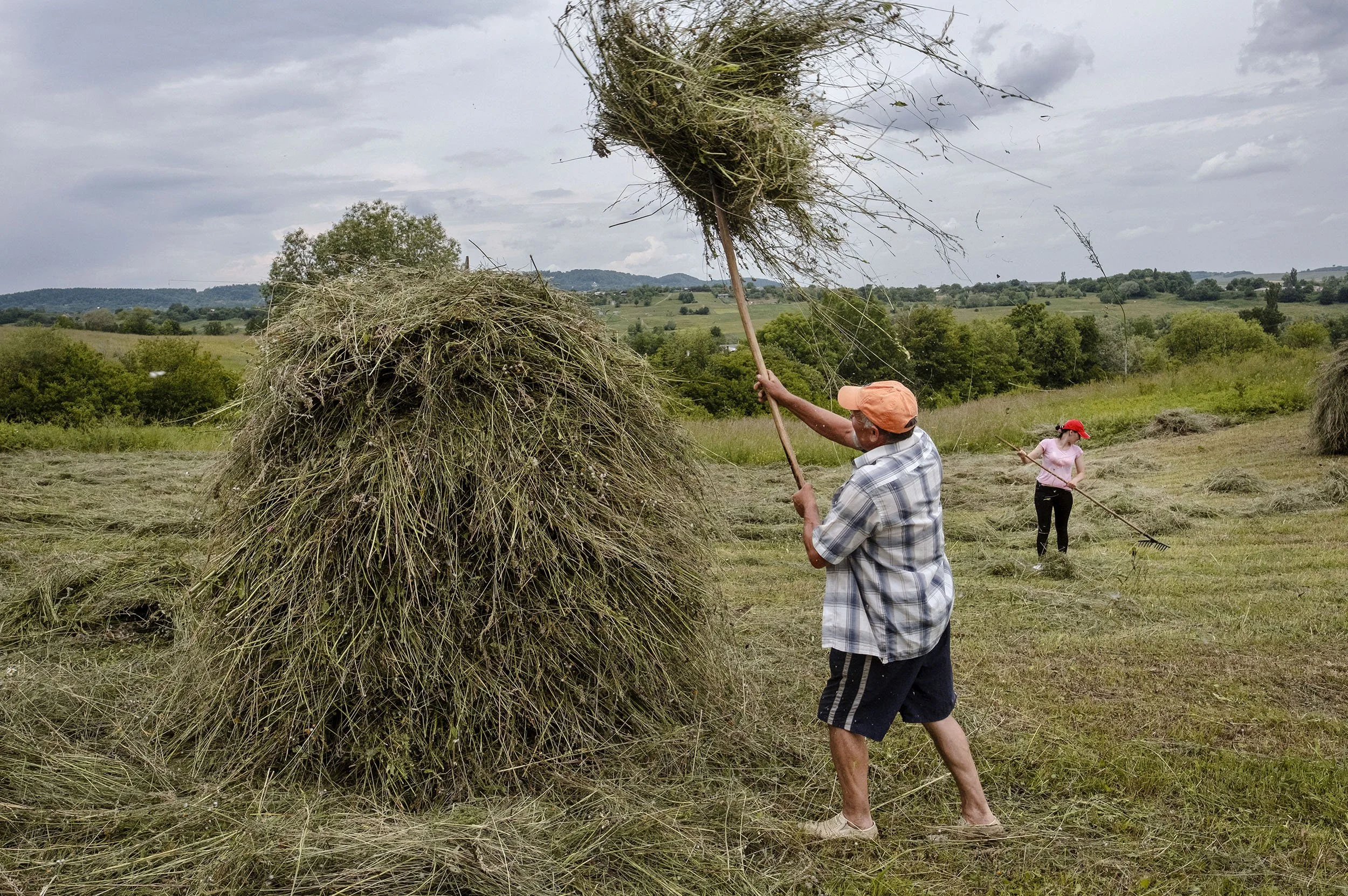Grandfather Mykhailo and one of his daughters brings in the hay from the land.