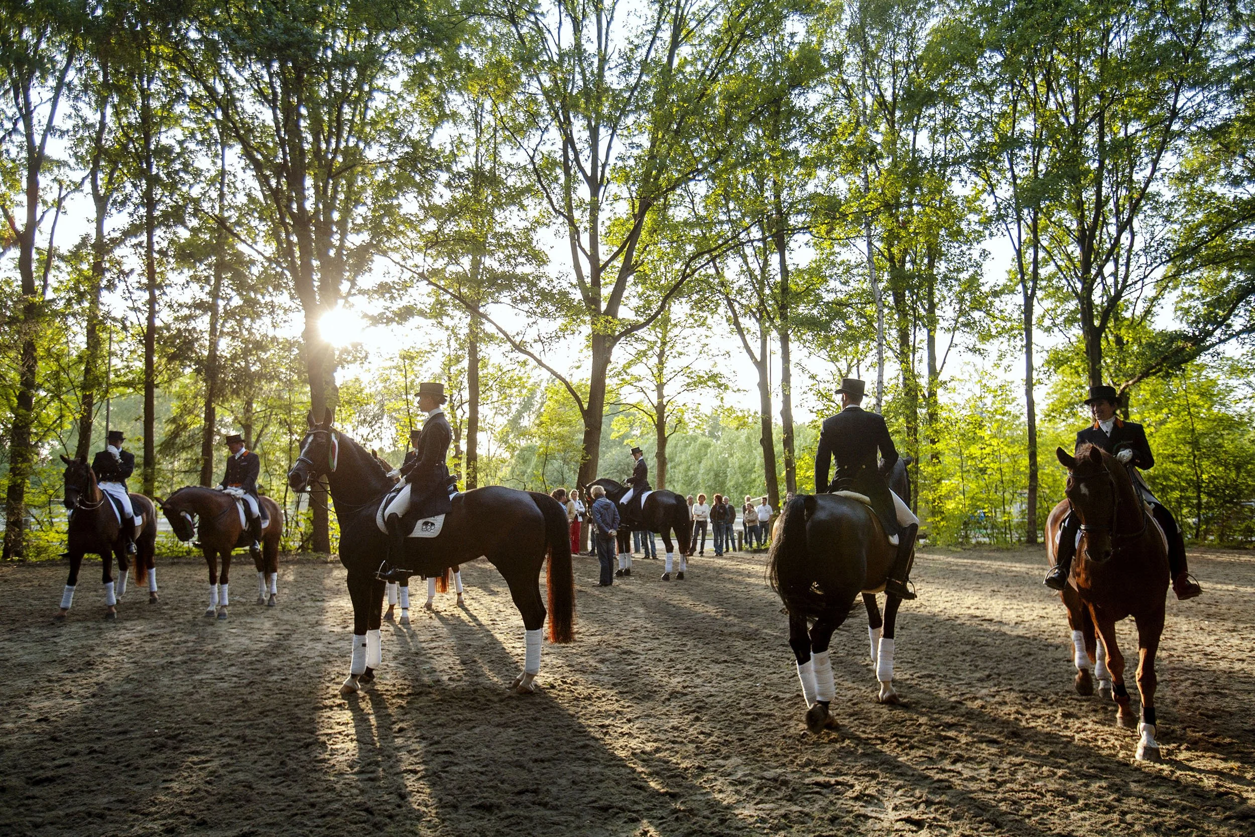 World and Olympic champion Anky van Grunsven waiting to do her lap of honour at the Dutch National Dressage Championships in Eindhoven.