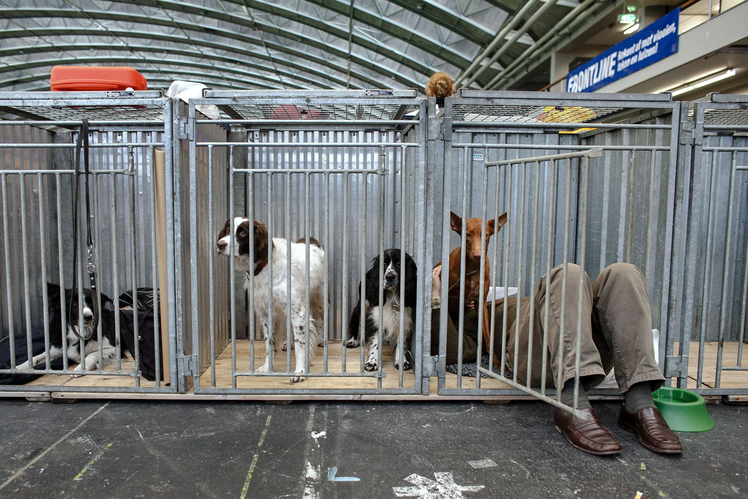 A dog owner takes a rest with his dog at the Winner Dog Show in Amsterdam, the Netherlands.