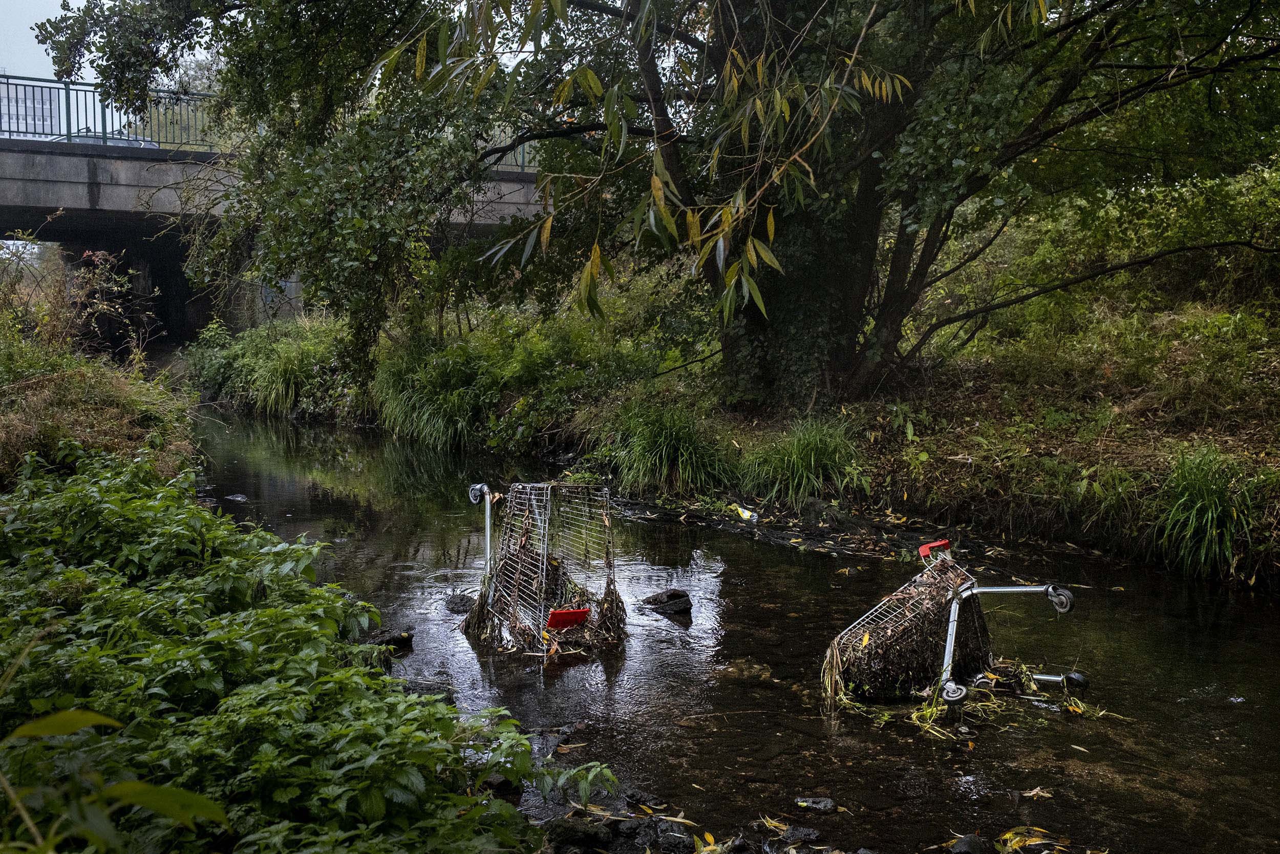 Shopping trolleys dumped in a river just outside the shopping centre in Chelmsley Wood near a sociale supermarkt called Around Again Charity, Birmingham, England.