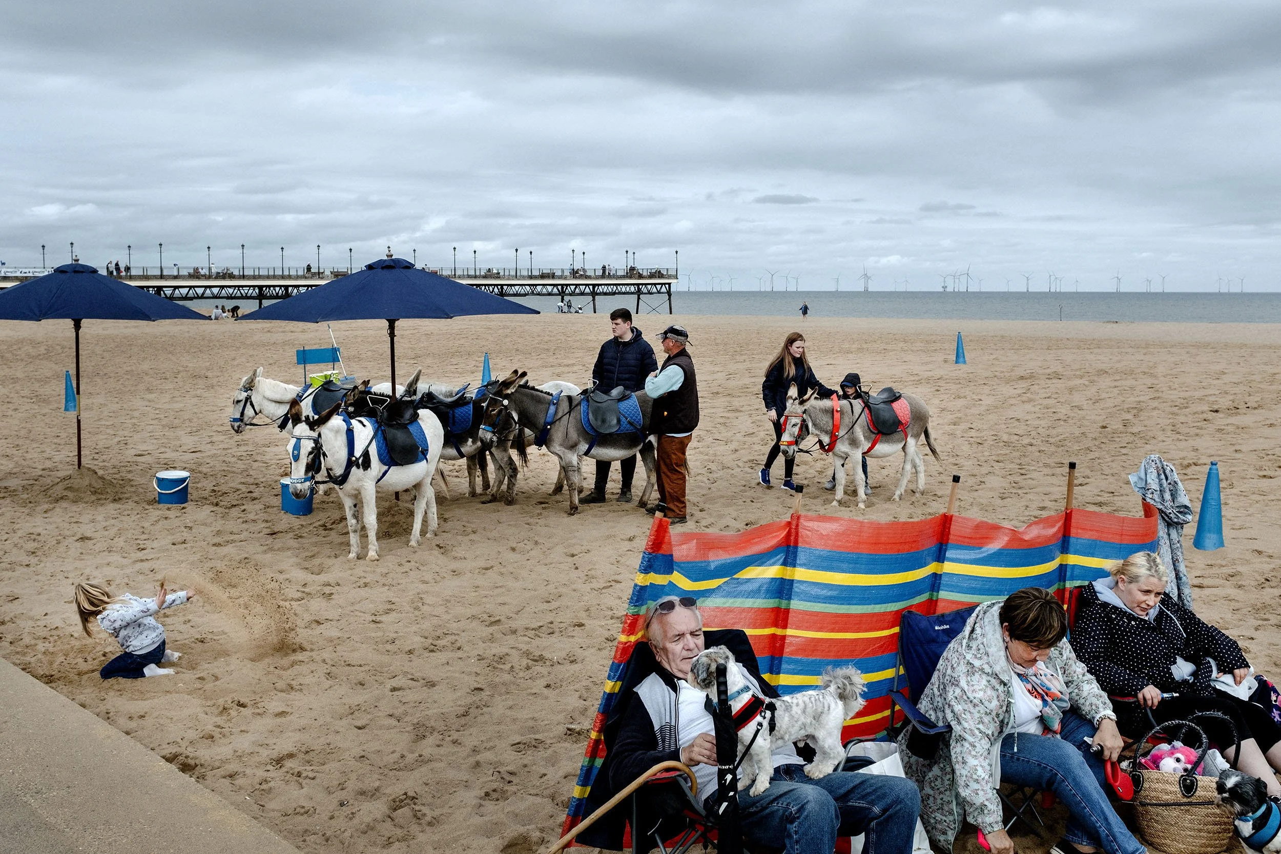 A day at the beach with the donkey ride in the background. Skegness, England.