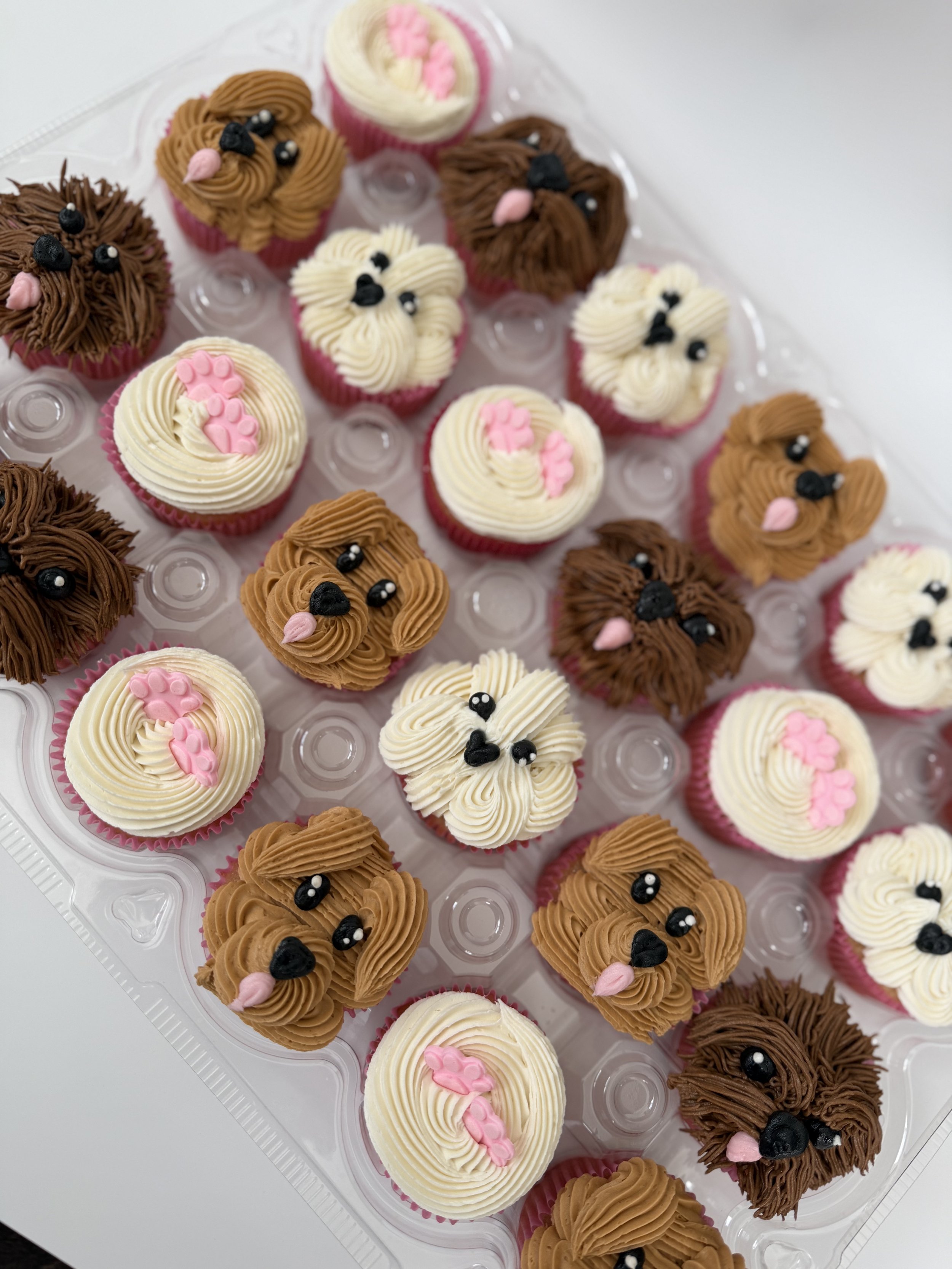 Vanilla cupcakes with vanilla buttercream