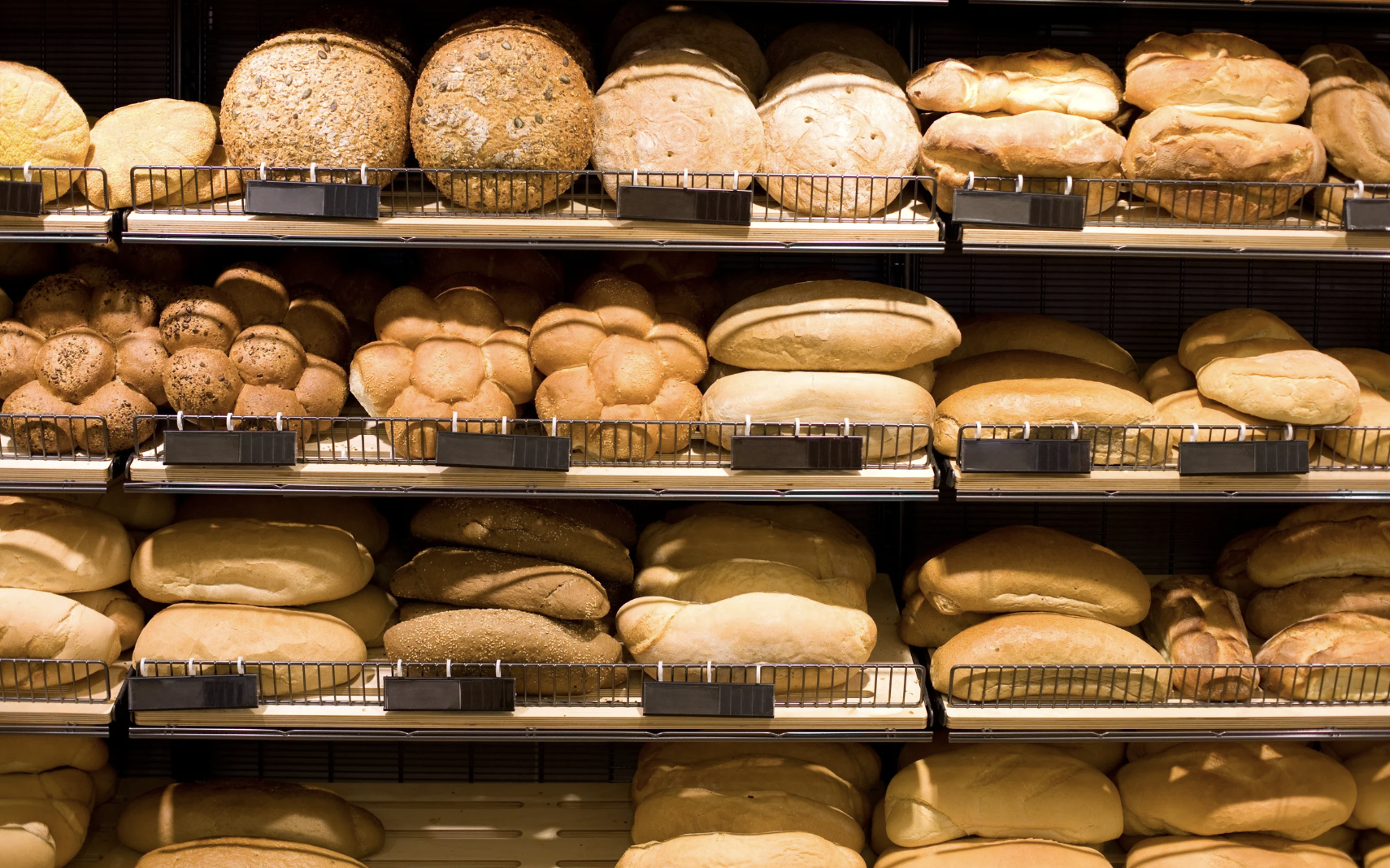 Screenshot 2025-12-04 at 10.31.20 AM.png