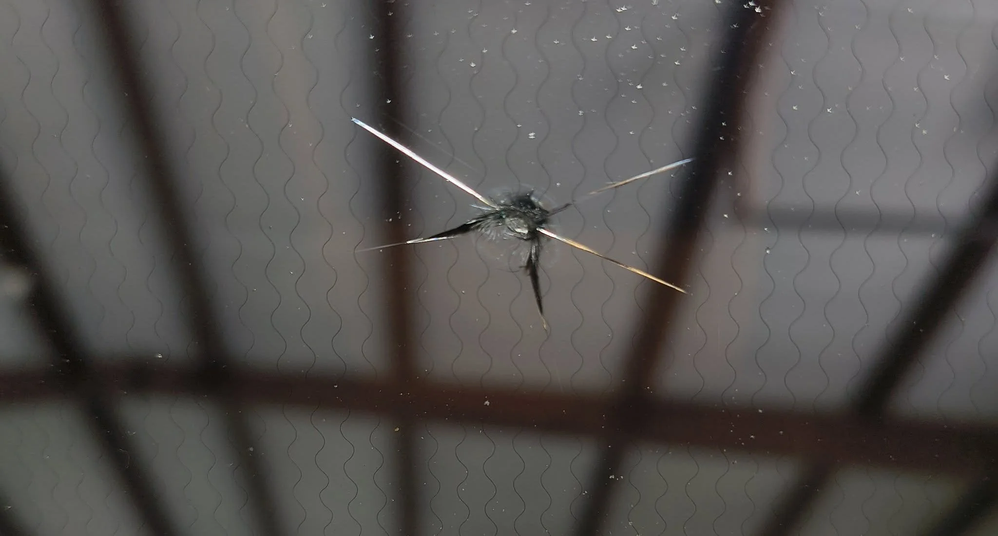 chip in windshield/ windshield repair