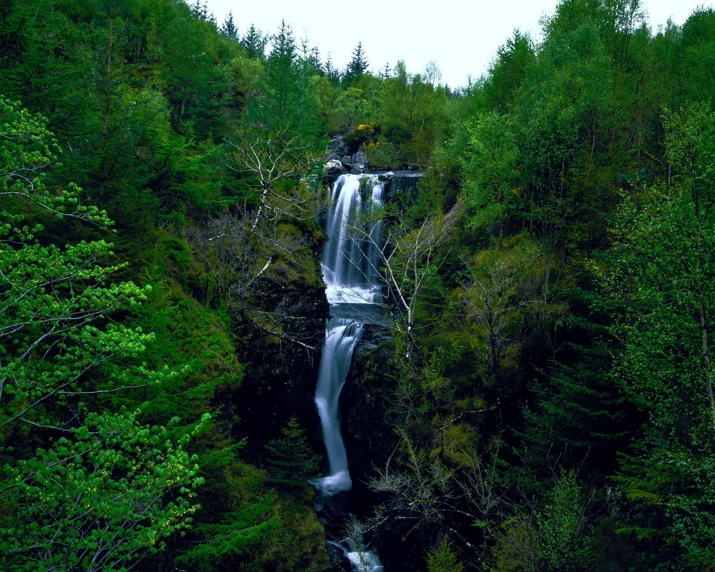 _SCO0973.jpg