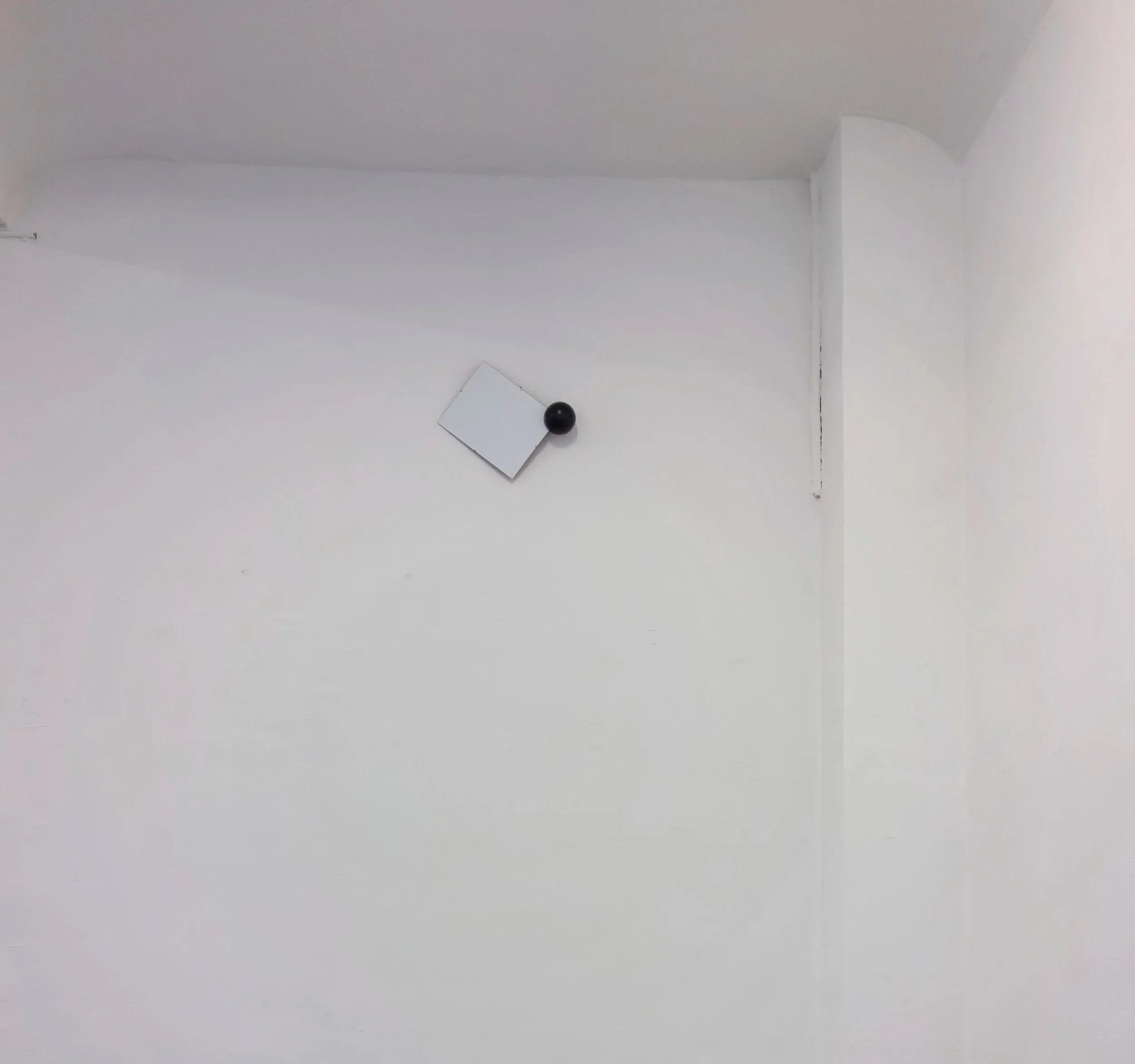 DSC01036_v.jpg
