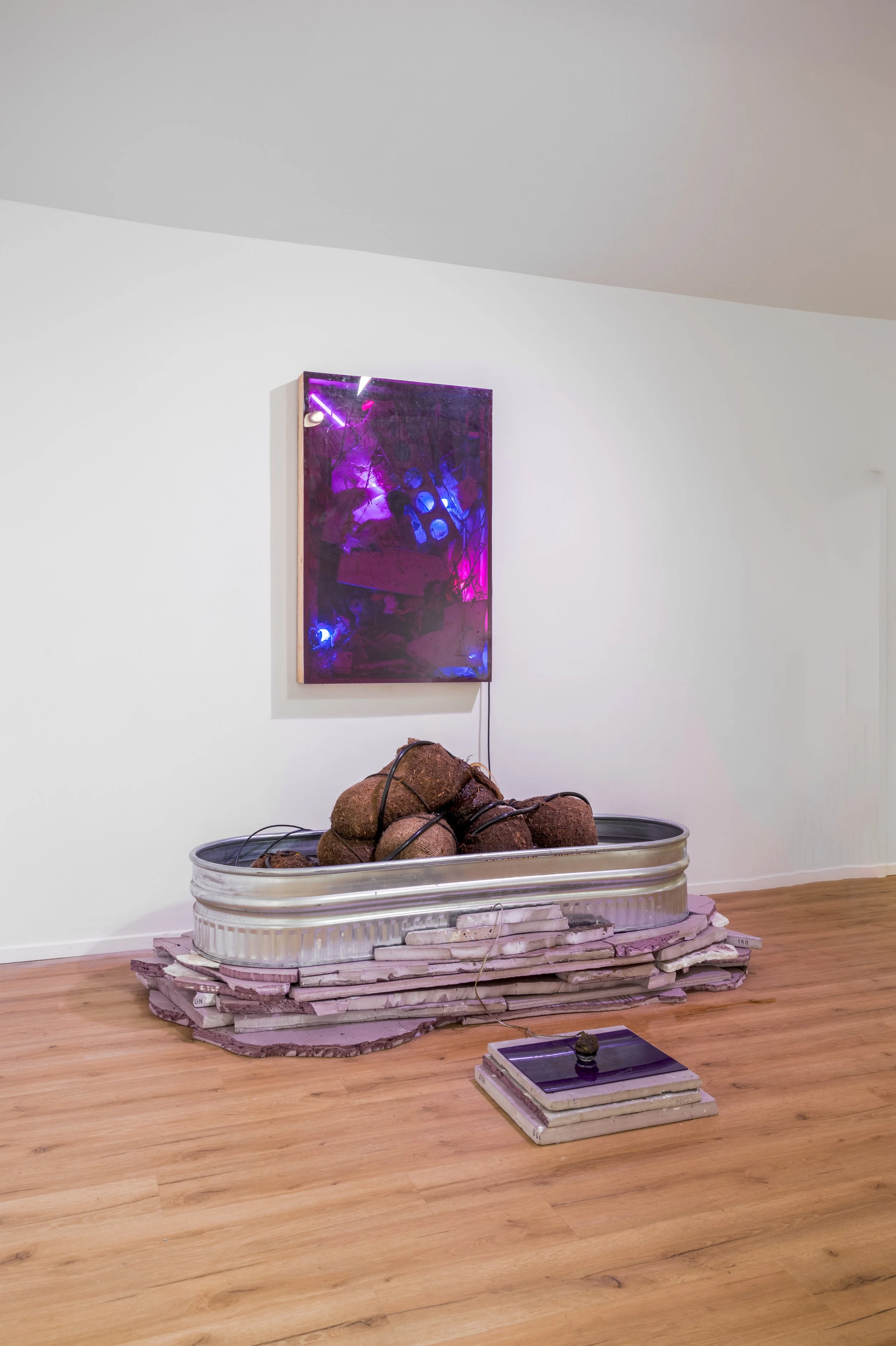 Ashton S. Phillips_Worm Bath, Alter Piece_2022-2024_Photo by Jordan Rodriguez 02.jpg