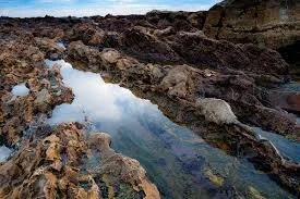 Deep Attunement at White Point Beach