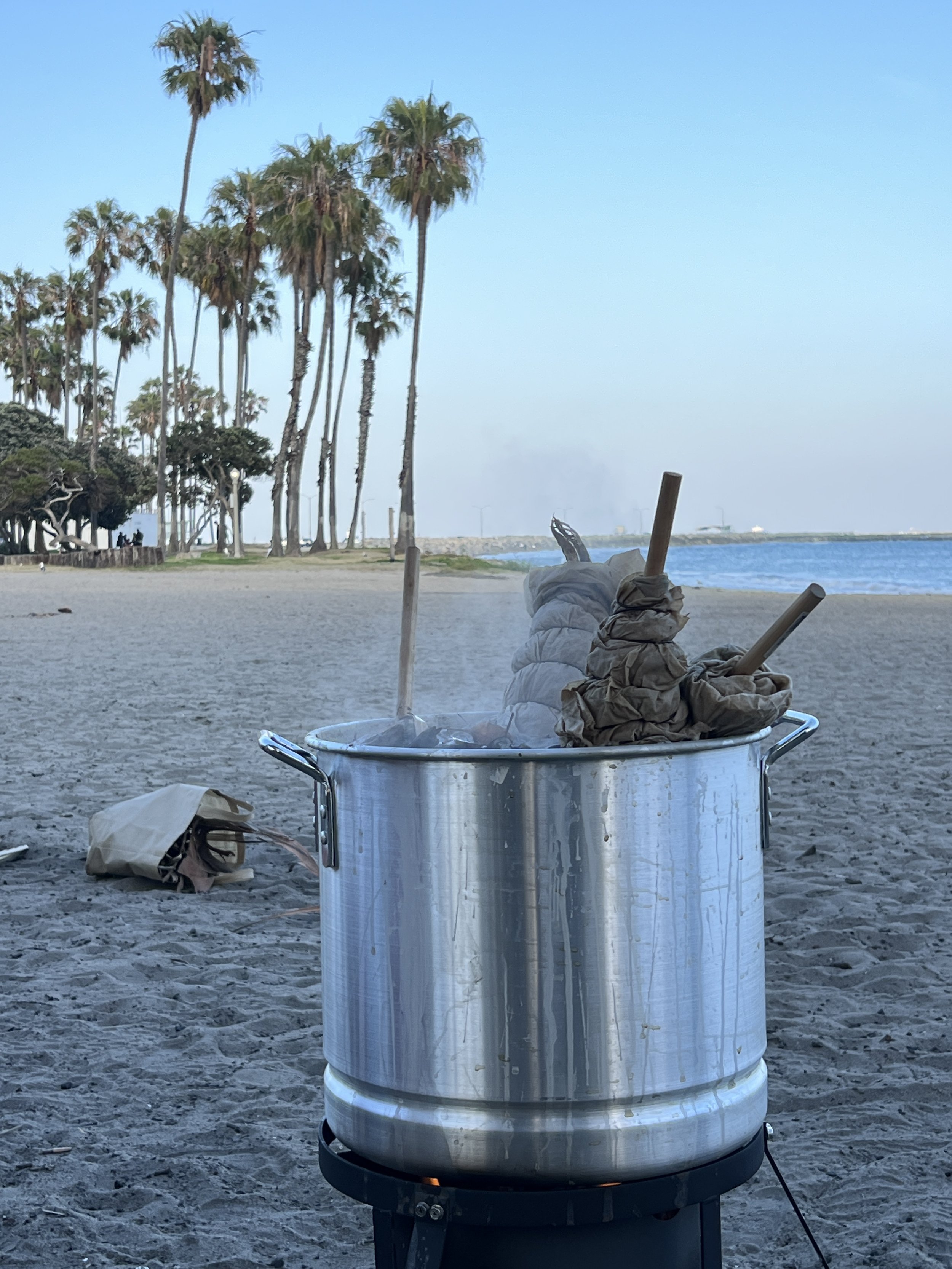 Kelp Dying and Environmental Dialogue at Cabrillo Beach