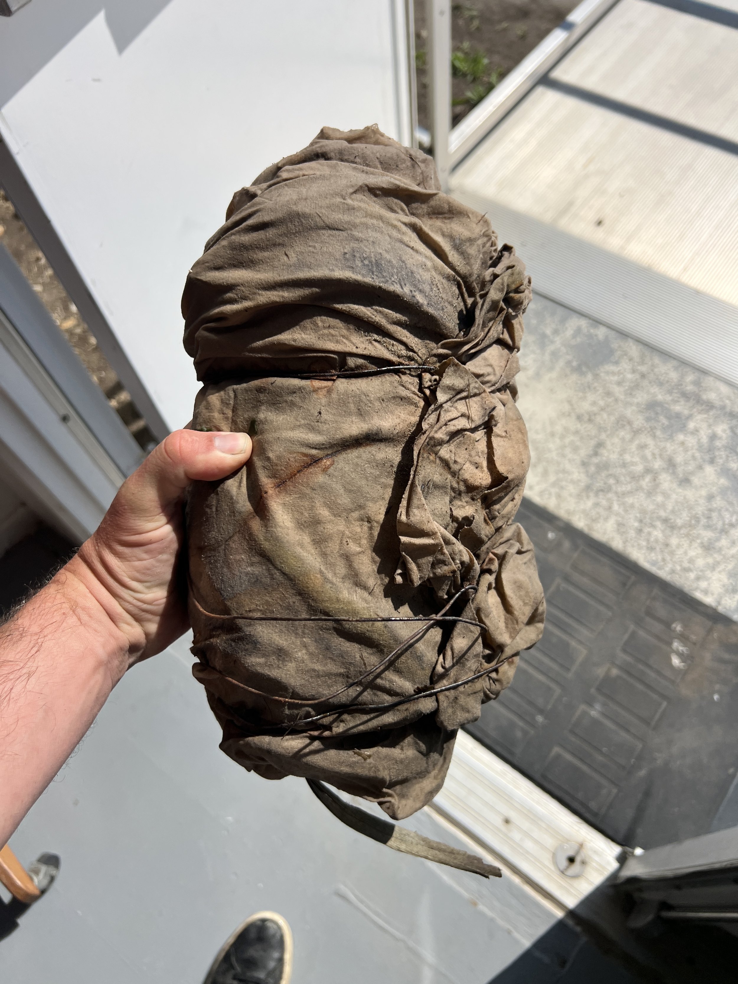 Kelp-dyed textile unraveling and communal eating from the sea