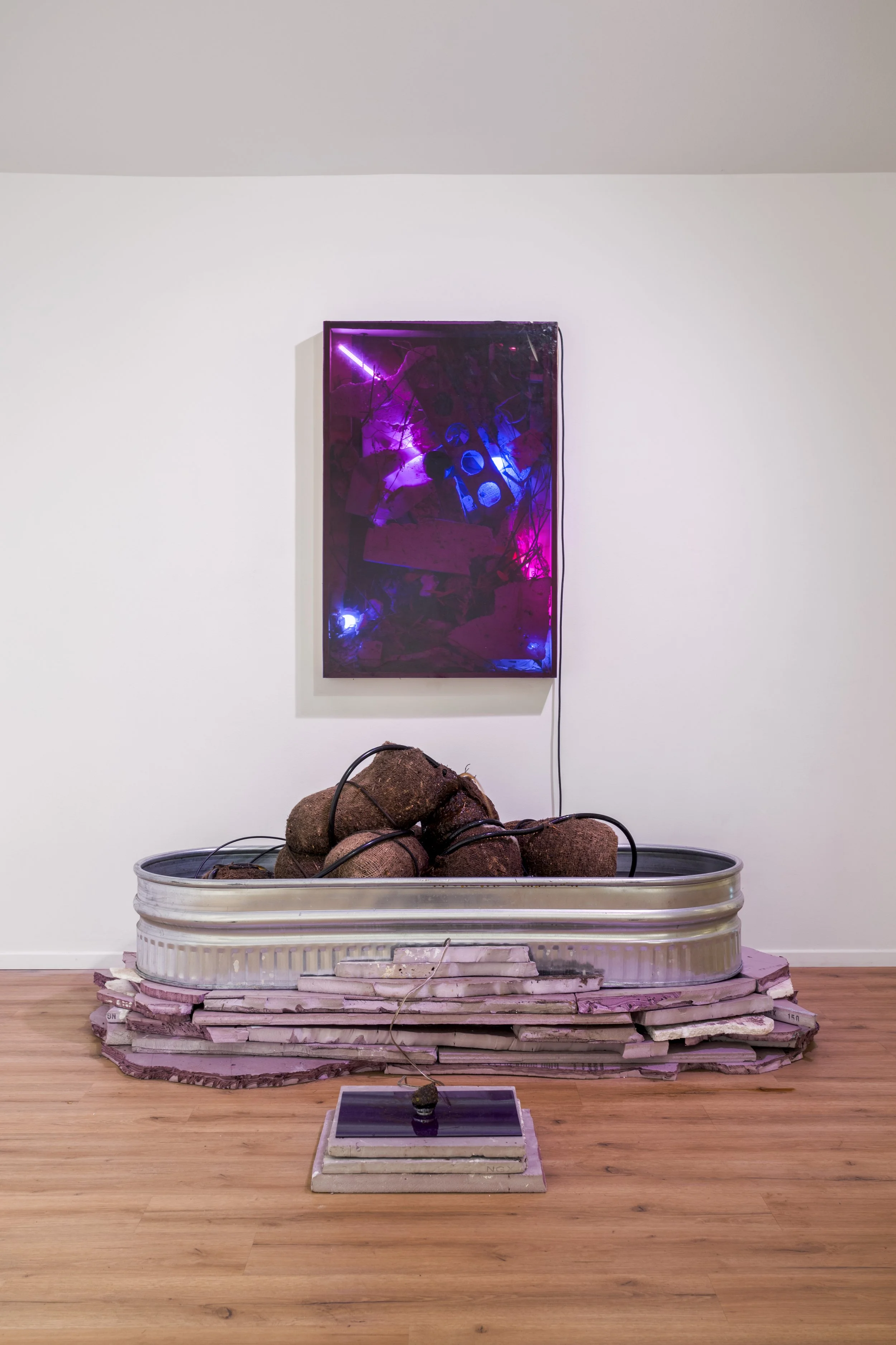 8 - Worm Bath_Altar Piece.jpg