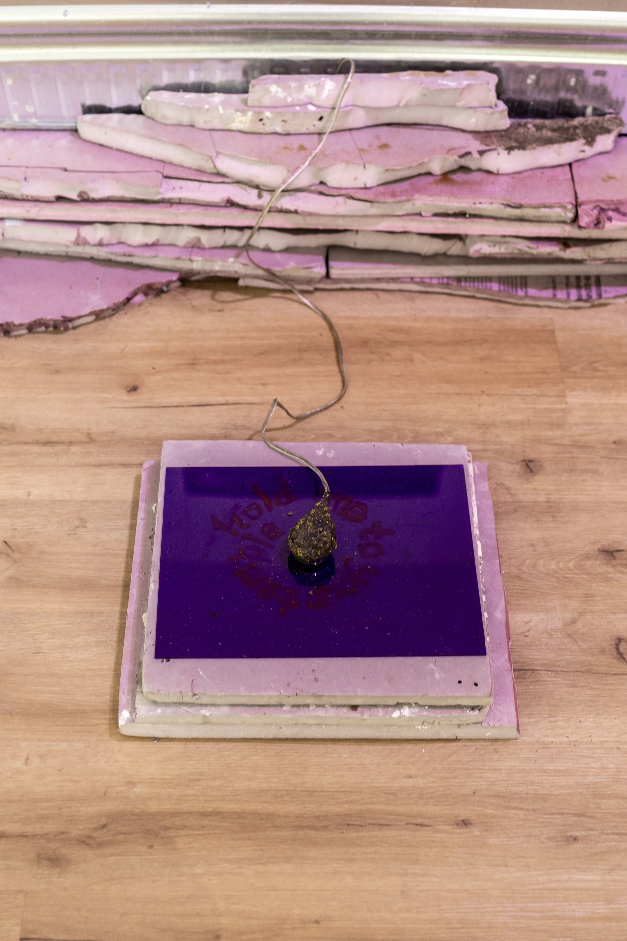 Ashton S. Phillips_Worm Bath, Alter Piece_2022-2024_Photo by Jordan Rodriguez 17.jpg