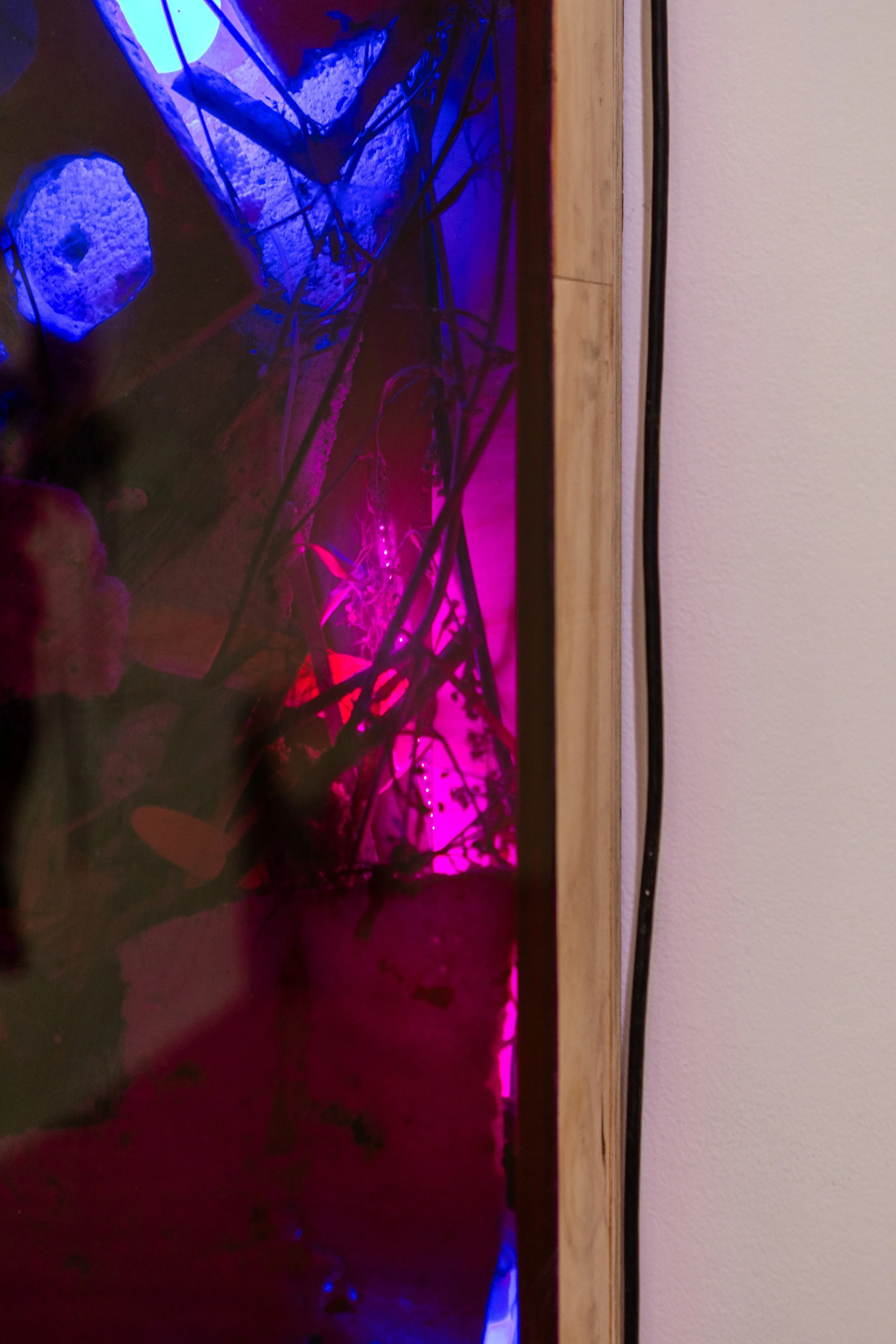 Ashton S. Phillips_Worm Bath, Alter Piece_2022-2024_Photo by Jordan Rodriguez 06.jpg