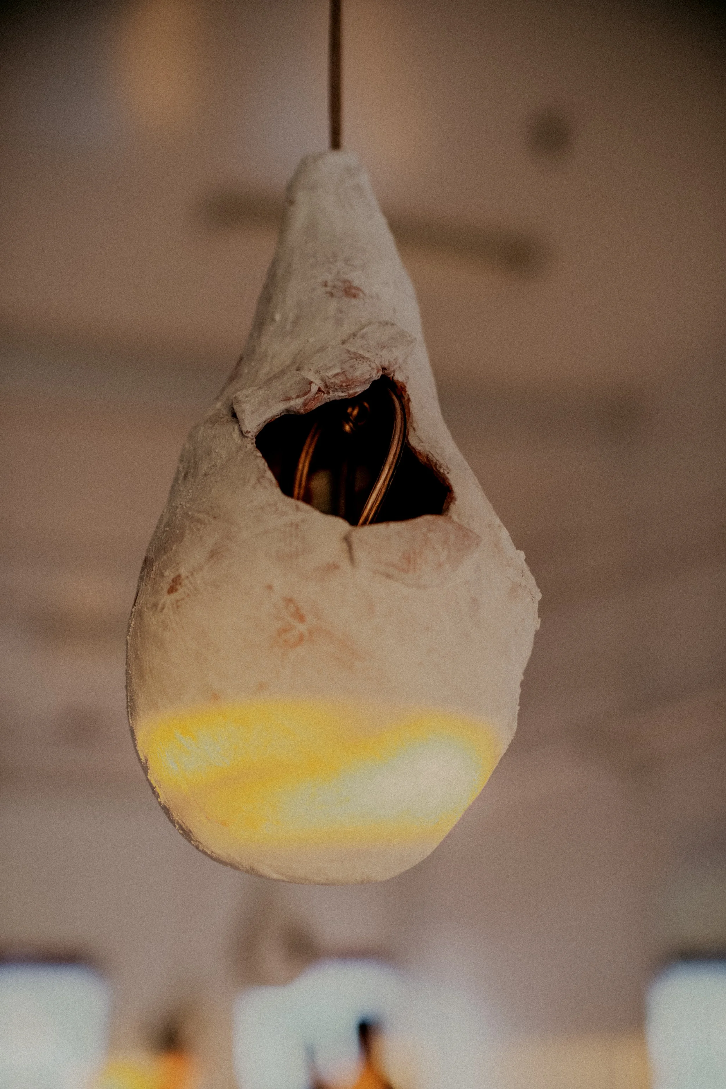 Copy of DSCF9772.jpg