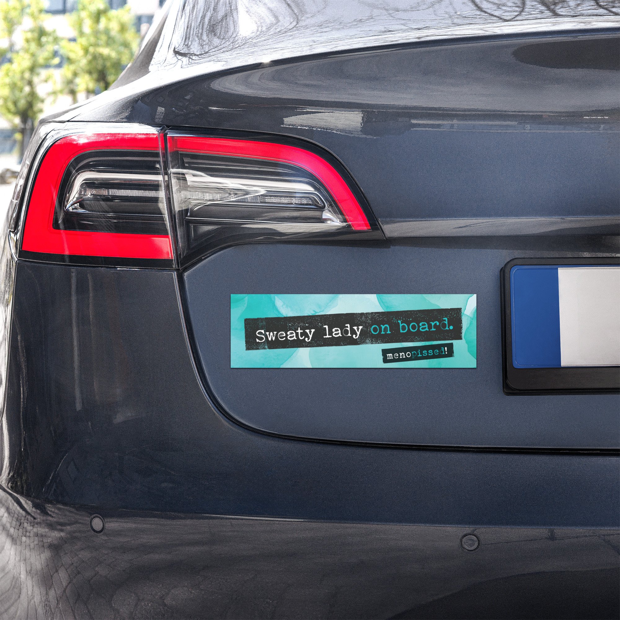 car-magnets-white-10x3-front-68e2bb1495dcb.jpg