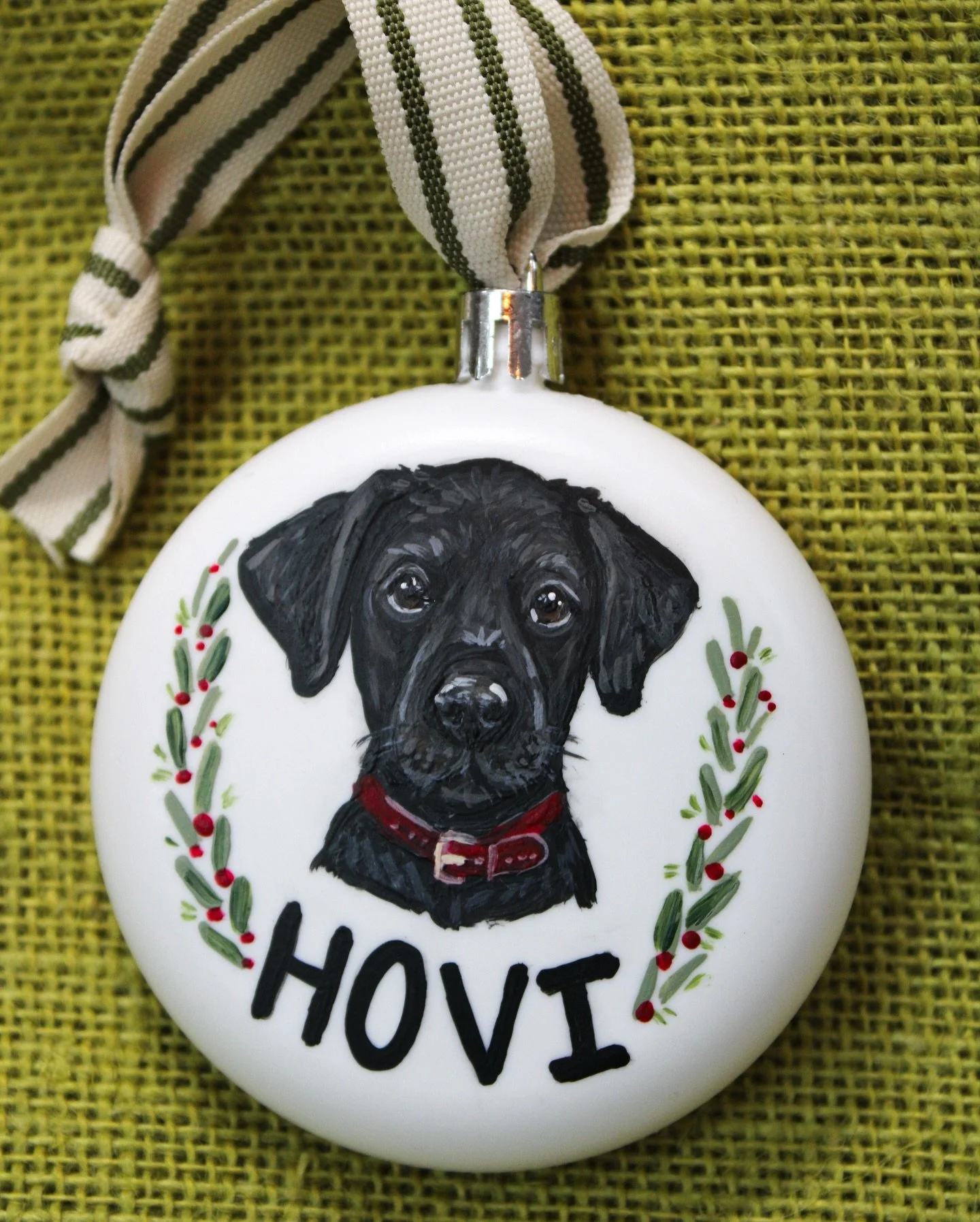 Hovi was one of my favorites that shipped out this week 🥹❤️

#dogportraits #customart #petportraitartist