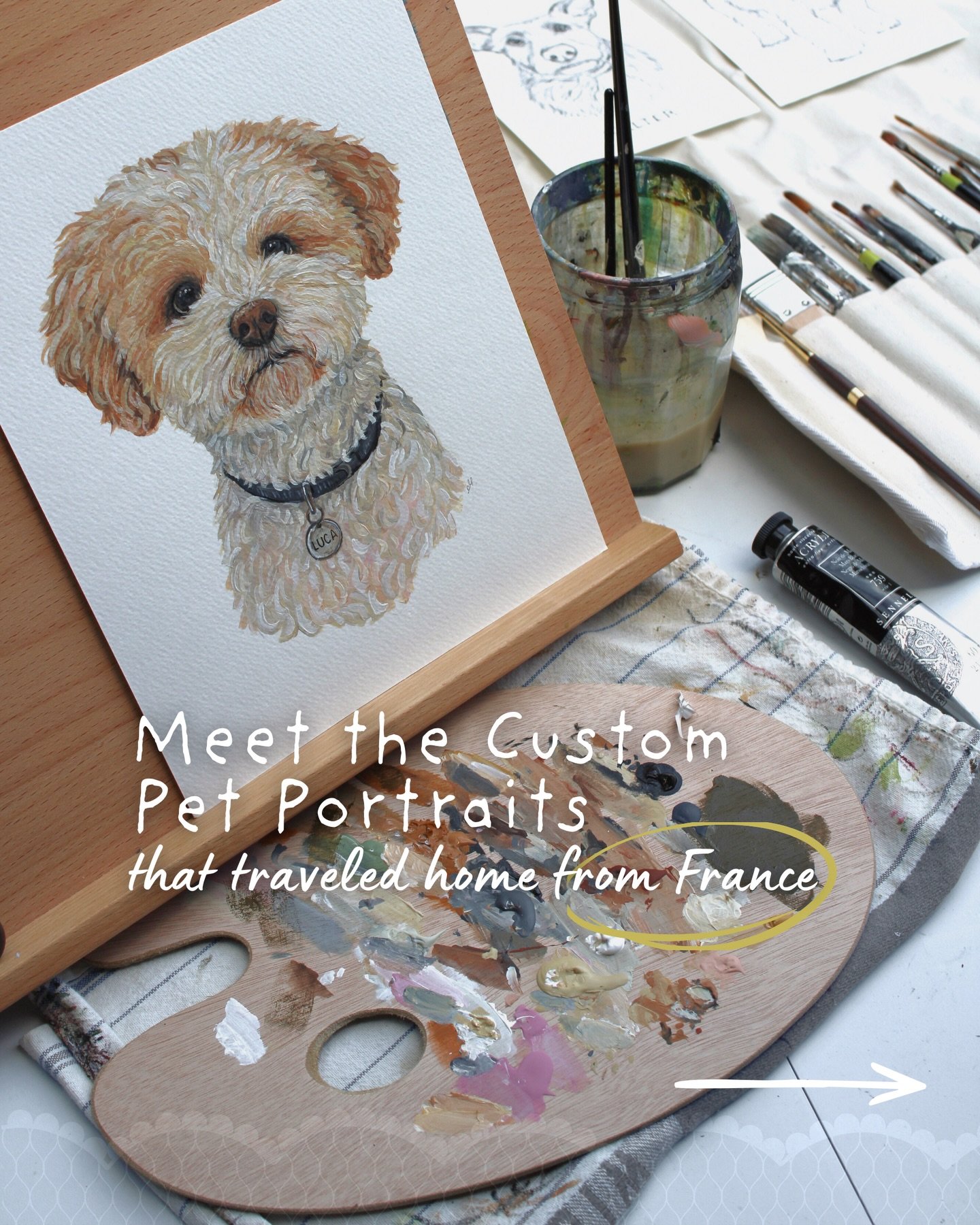 From France to their furever homes - they&rsquo;ve traveled a long way! 🫶 I worked on this collection of commissions during my Art Residency at @atelierair, which I exclusively offered to my email subscribers. 

Do you want your pet&rsquo;s portrait