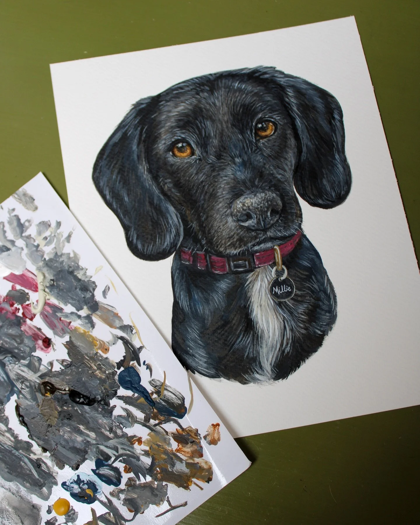 Black labs always have a little blue shine in their coats&mdash;even when they look fully jet black in person. I like adding a bit of color and contrast into the fur to bring out that depth and shine 🖤

Tag someone you know with a black lab!

Custom