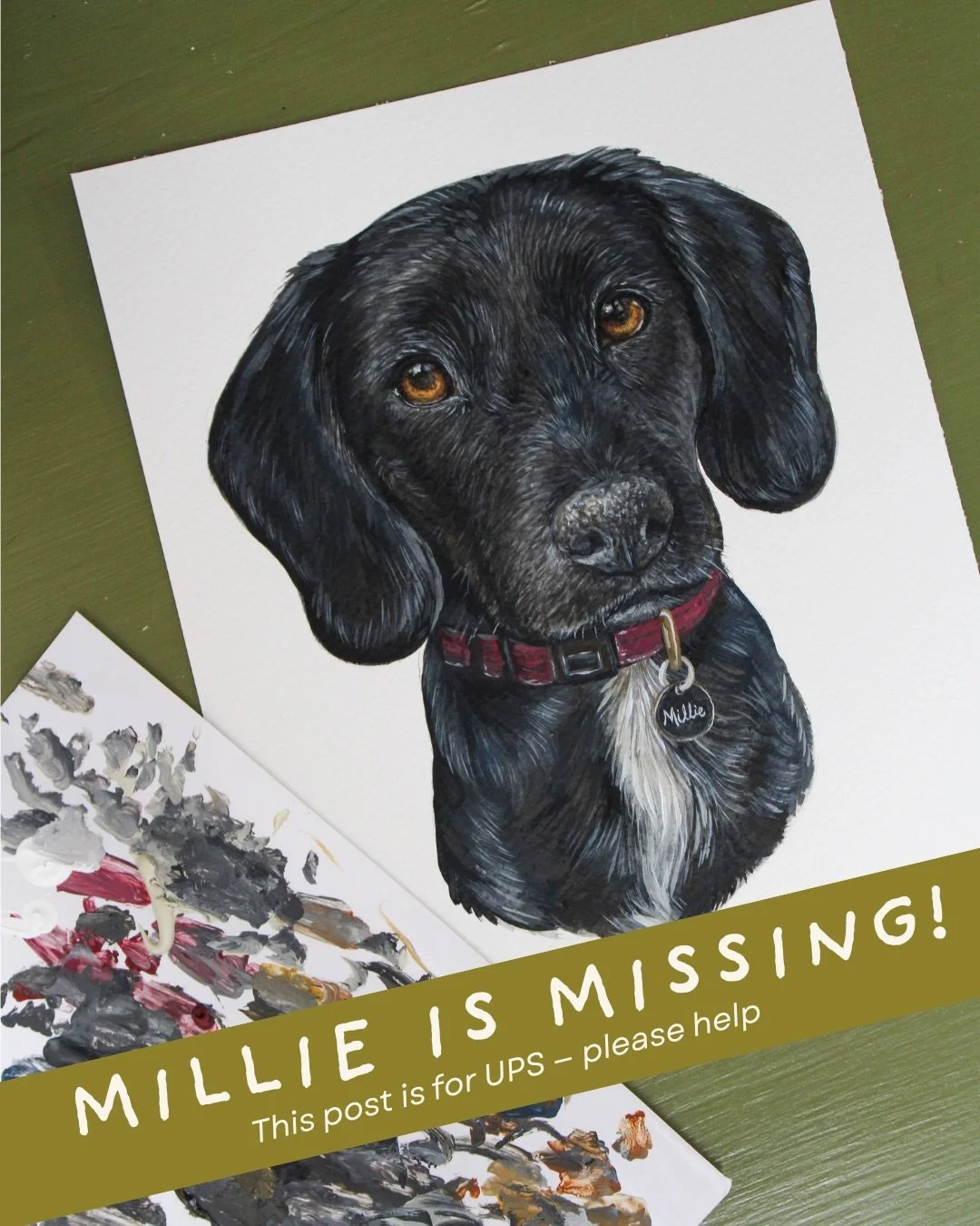 LOST DOG❕One of my pet portraits appears to be lost in transit with @ups while traveling to her forever home in West Babylon, NY. It&rsquo;s been 10 days with no updates beyond the initial delay. 

This has never happened before and this is my attemp
